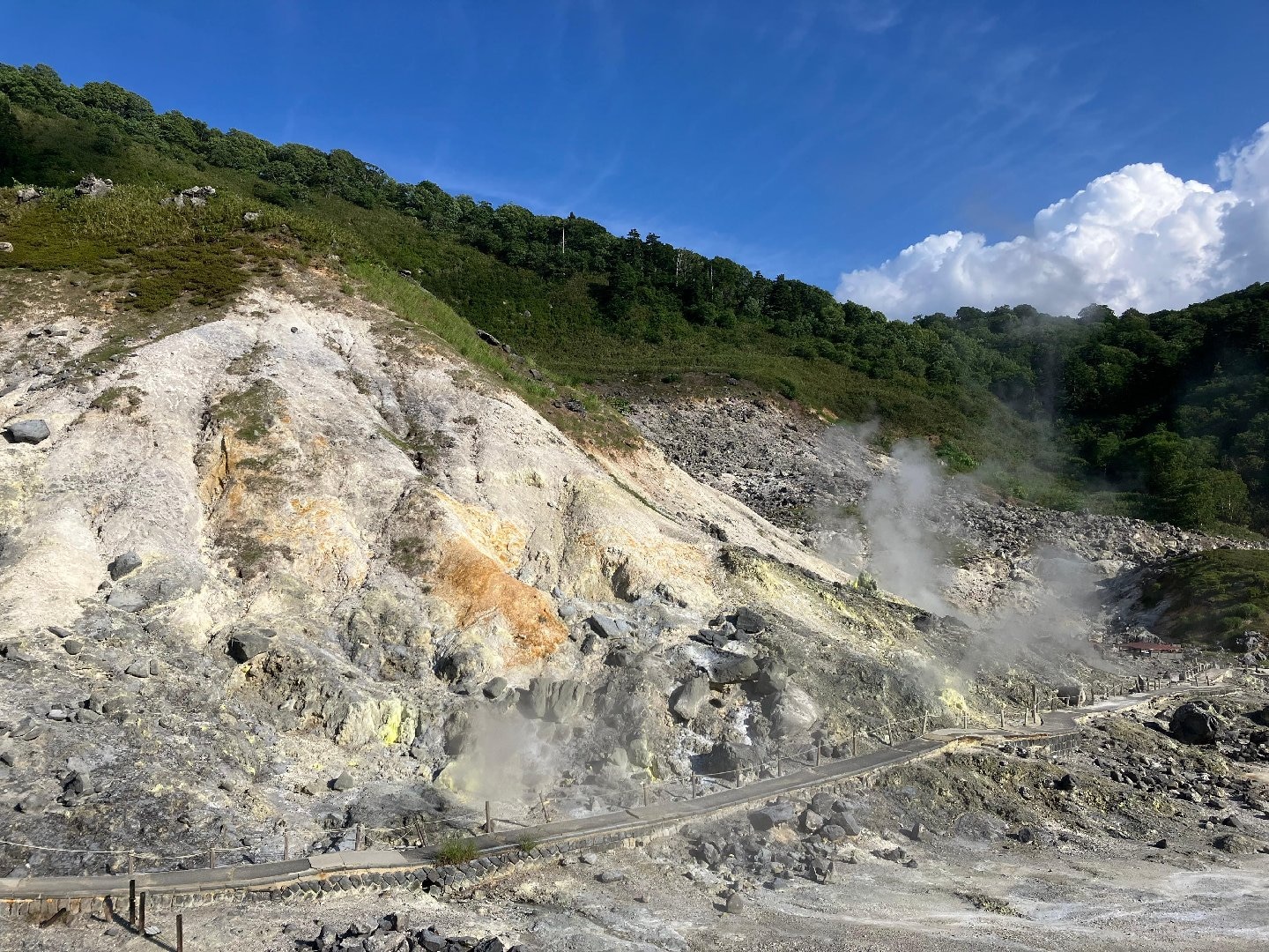 日本の山岳温泉リゾート 新玉川温泉 に実際に泊まった方のクチコミ