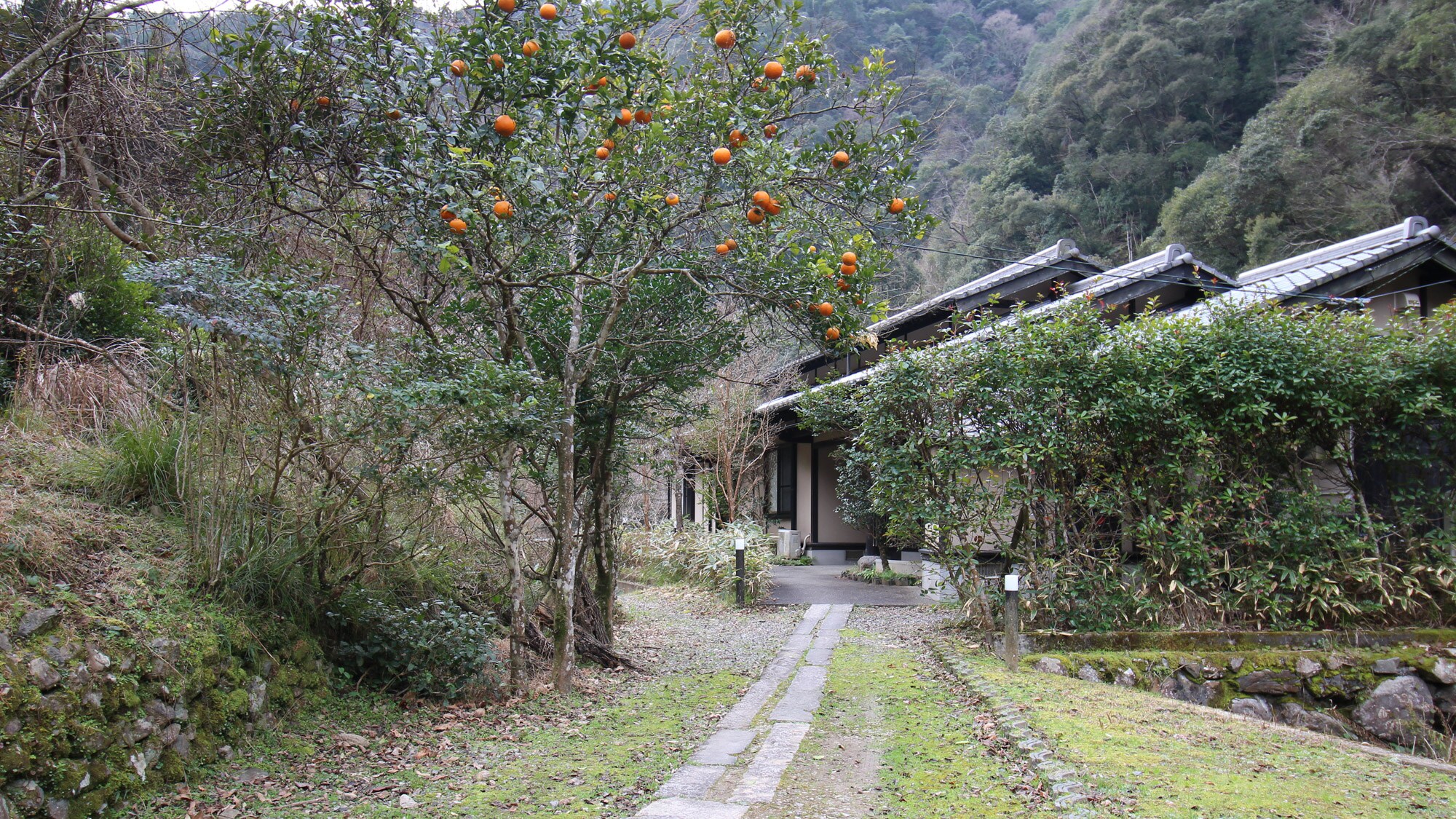 [ Annex ] If you walk a little from the main building, you will see the annex. Surrounded by trees, the beautiful moonlight is also recommended.