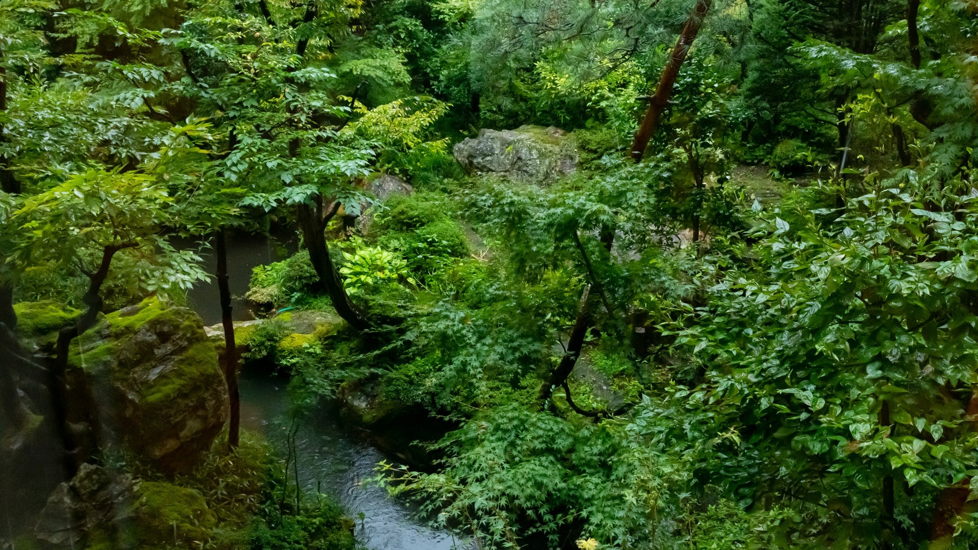 Japanese garden in the courtyard - Feel the seasons and enjoy soothing Japanese scenery