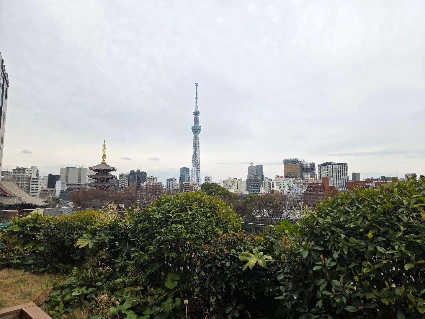 20260318_133359 (002).jpg