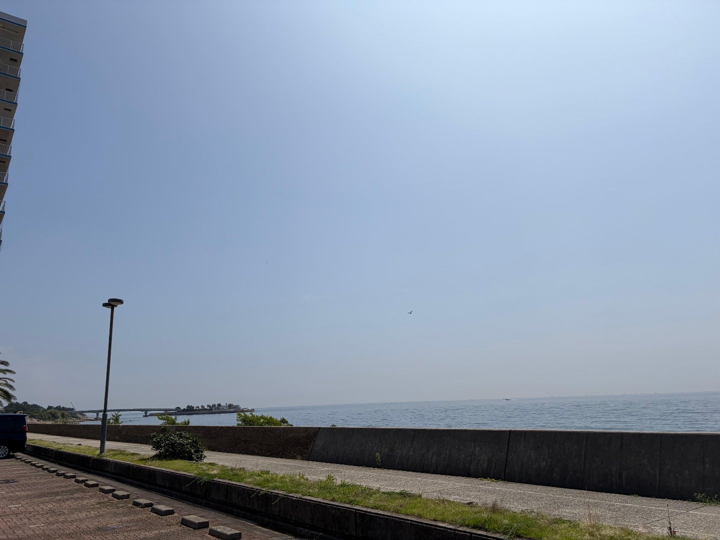 5AC96B22-2ABA-42EA-82B8-595D353E2CEB.jpeg