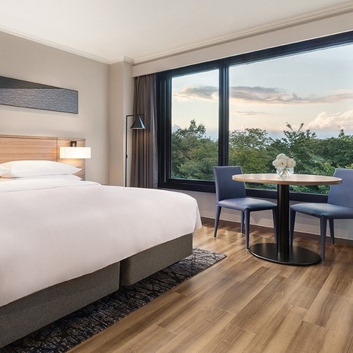 Superior room with hot spring_King