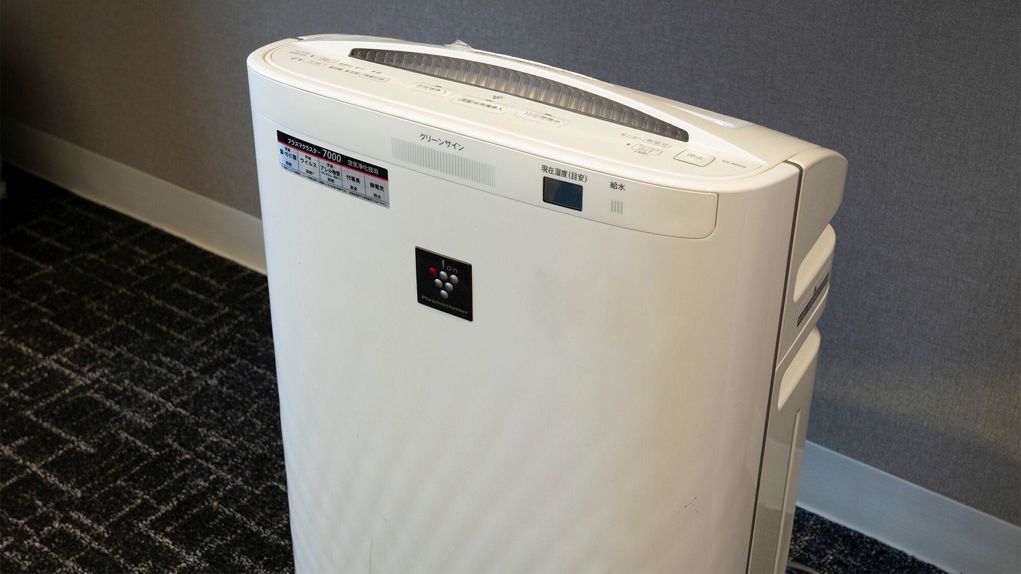 All rooms are equipped with an air purifier Plasmacluster with a humidifying function.