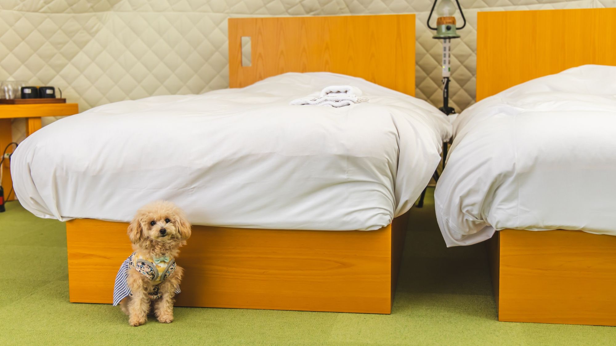 [Private dog run tent] Maximum 4 people *Vintage bus available