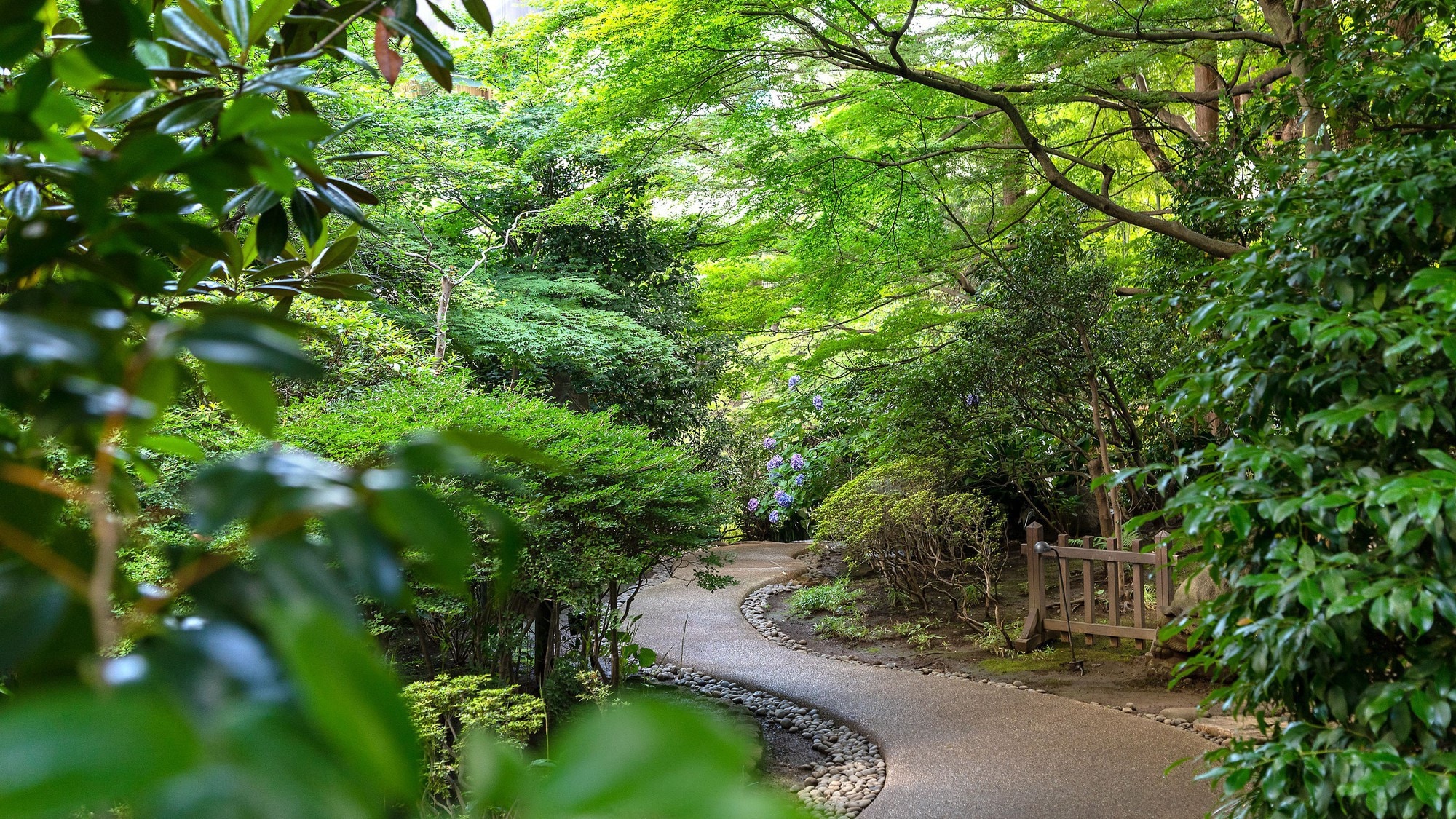 The Japanese garden on the premises of the hotel has a promenade, so it is recommended for a walk.