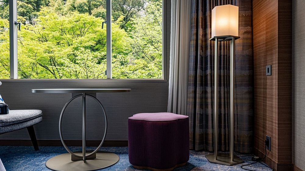 image of deluxe room