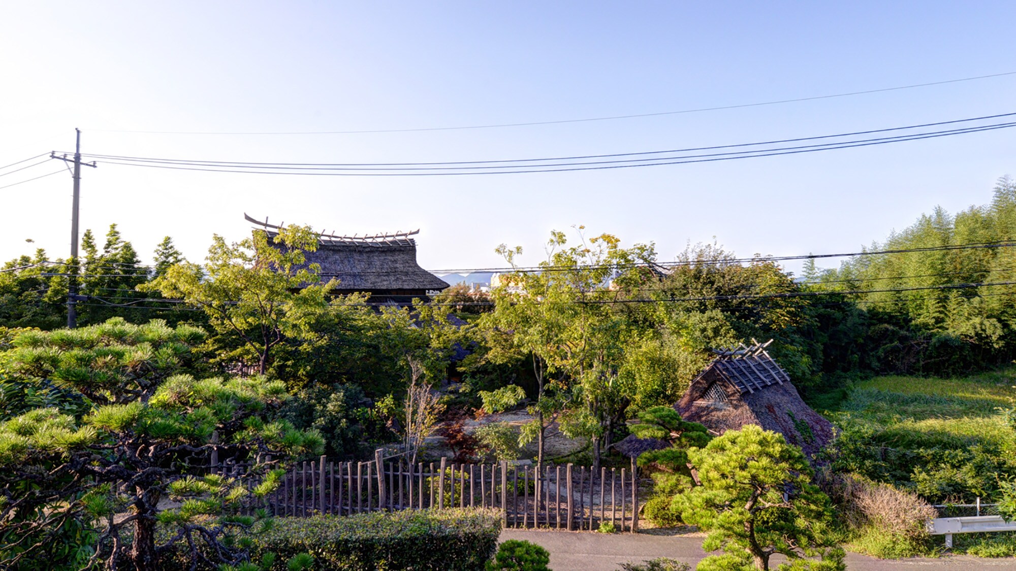 * 객실에서의 경관/자연이 풍부한 이즈모의 시골 풍경이 펼쳐집니다.