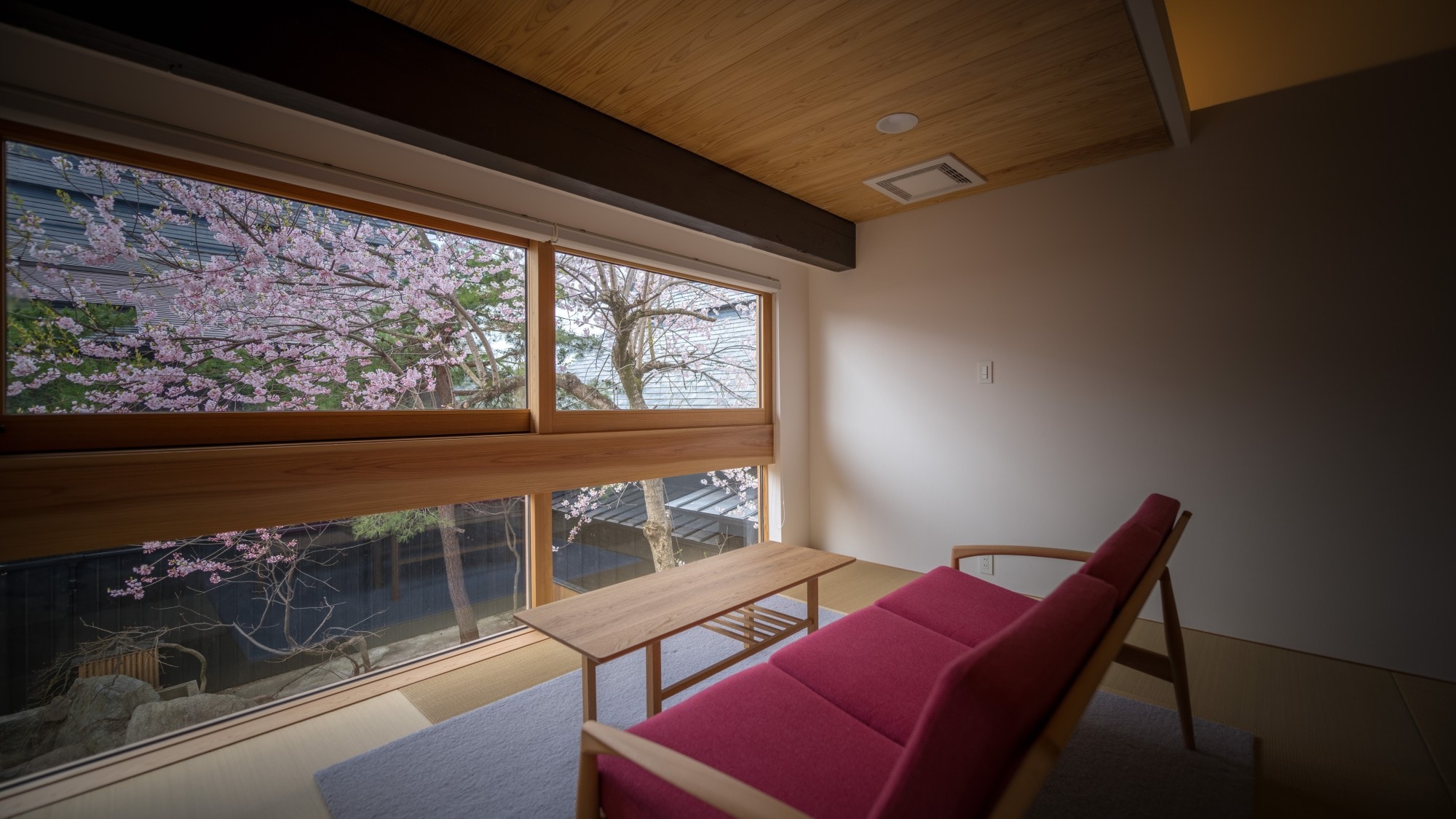 [KURA07] A room overlooking the cherry blossoms in spring