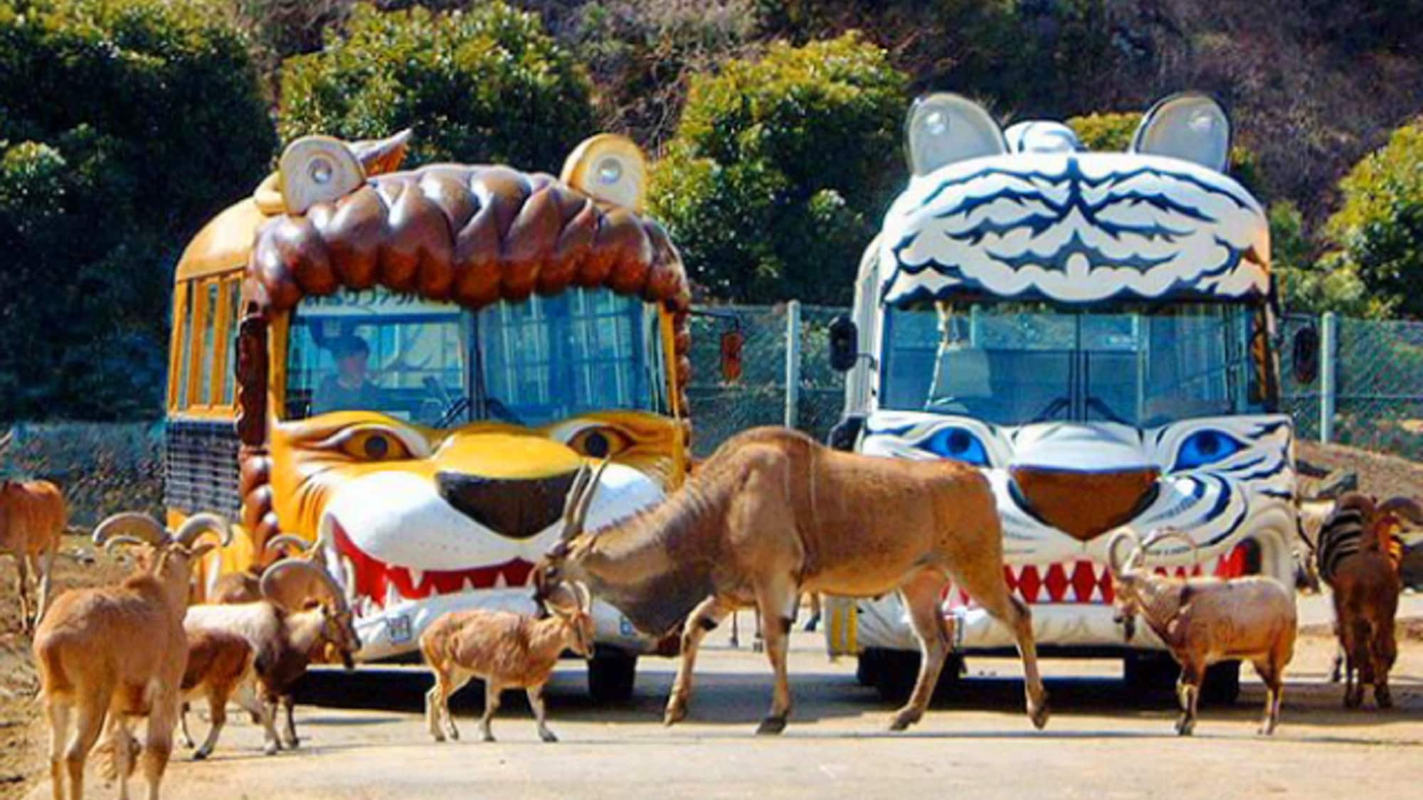 Gunma Safari Park