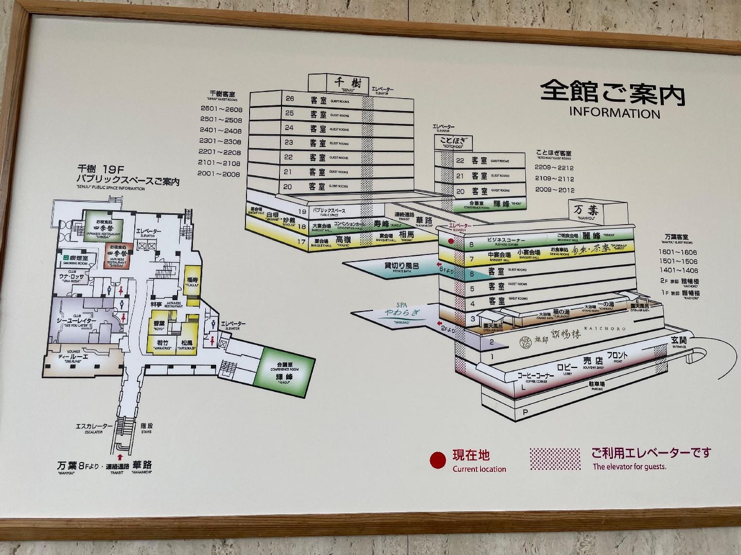 IMG_0838.jpeg