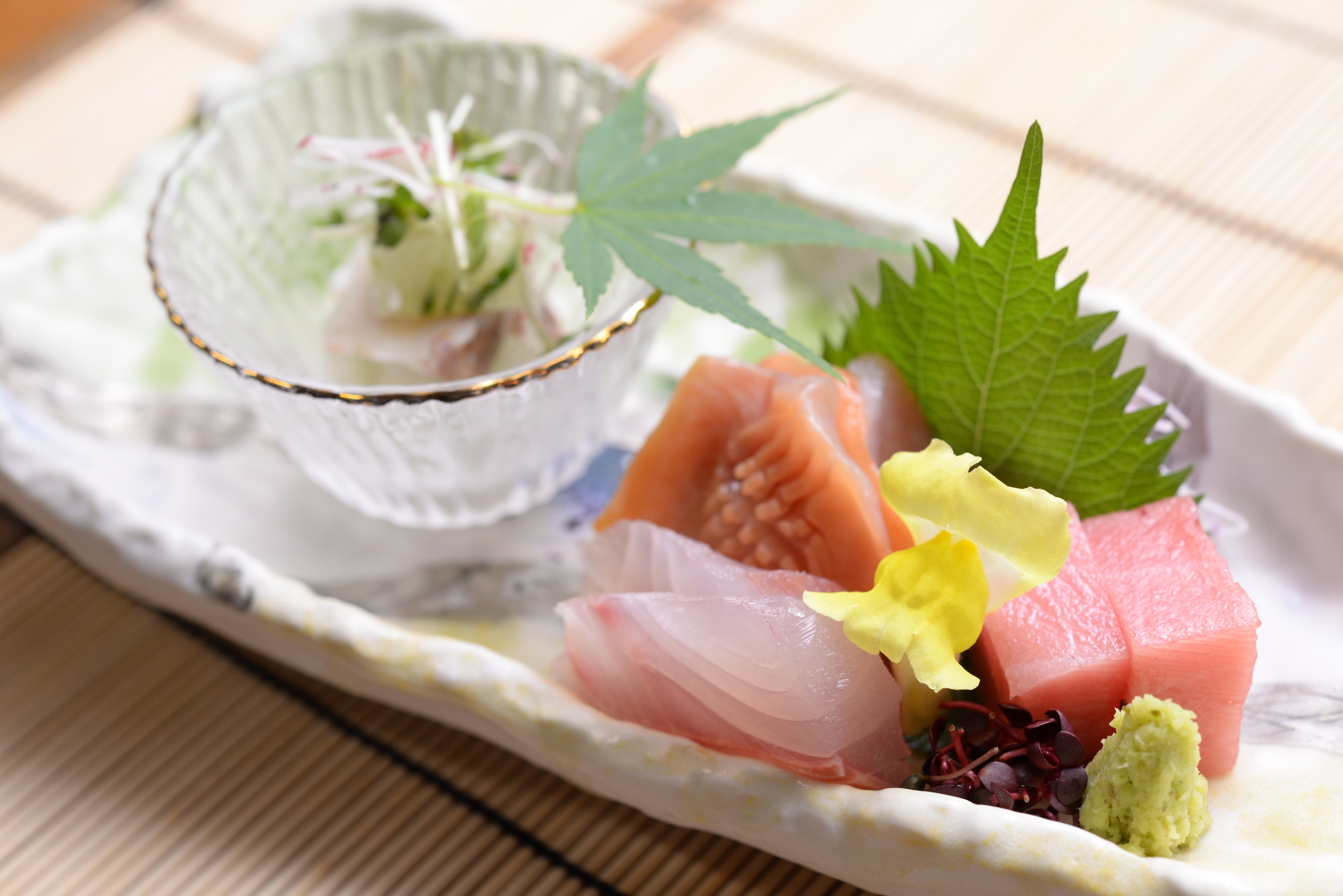 Sashimi