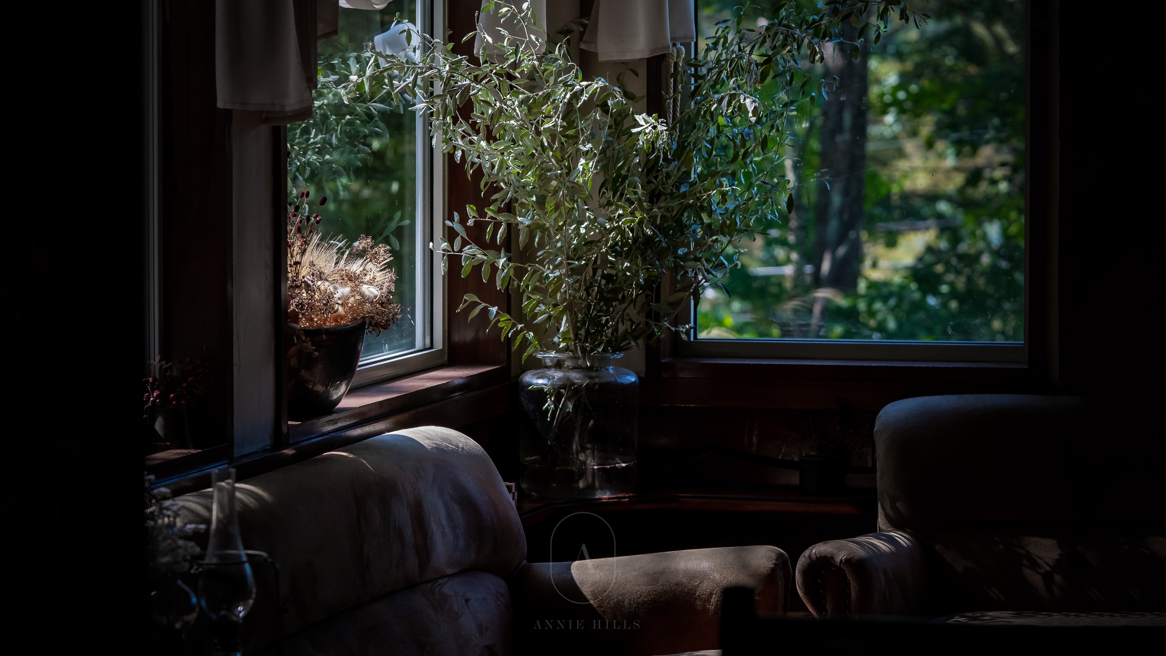 Summer window