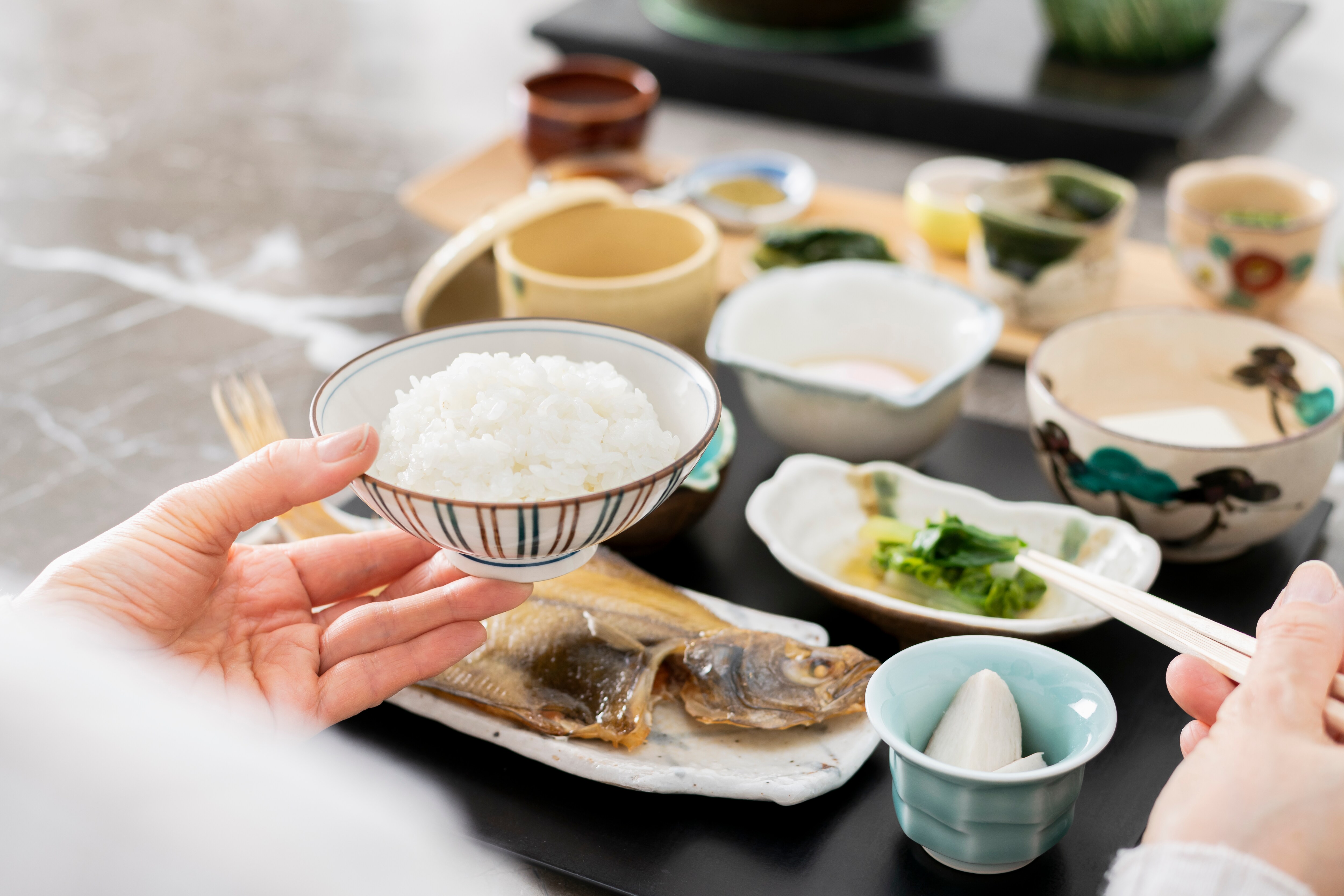 Japanese breakfast "Garaku no Asa"