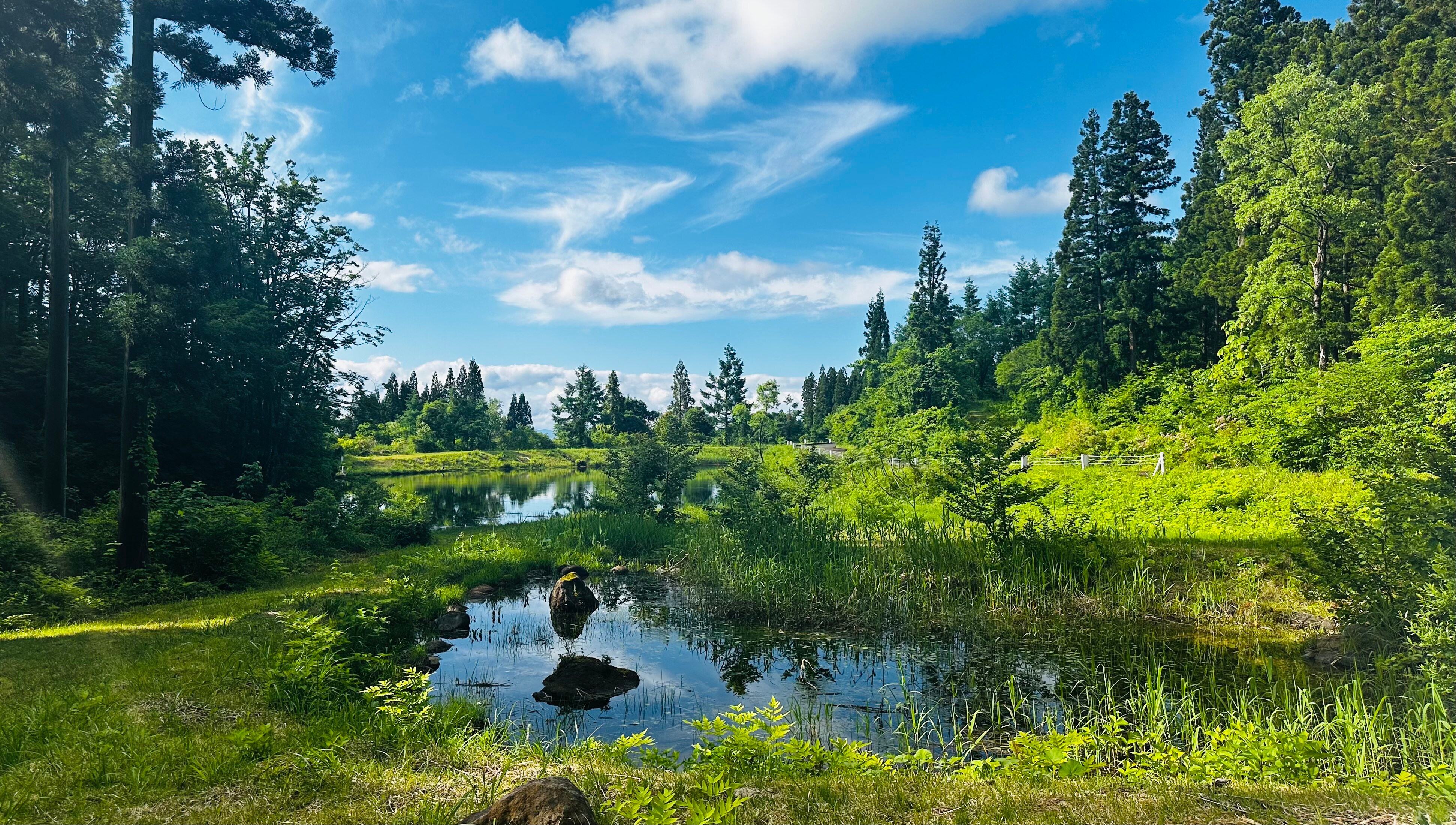 [Dekat] Jade Pond. Anda dapat sampai di sana dengan berjalan kaki, tetapi kami sarankan untuk menggunakan mobil darat.