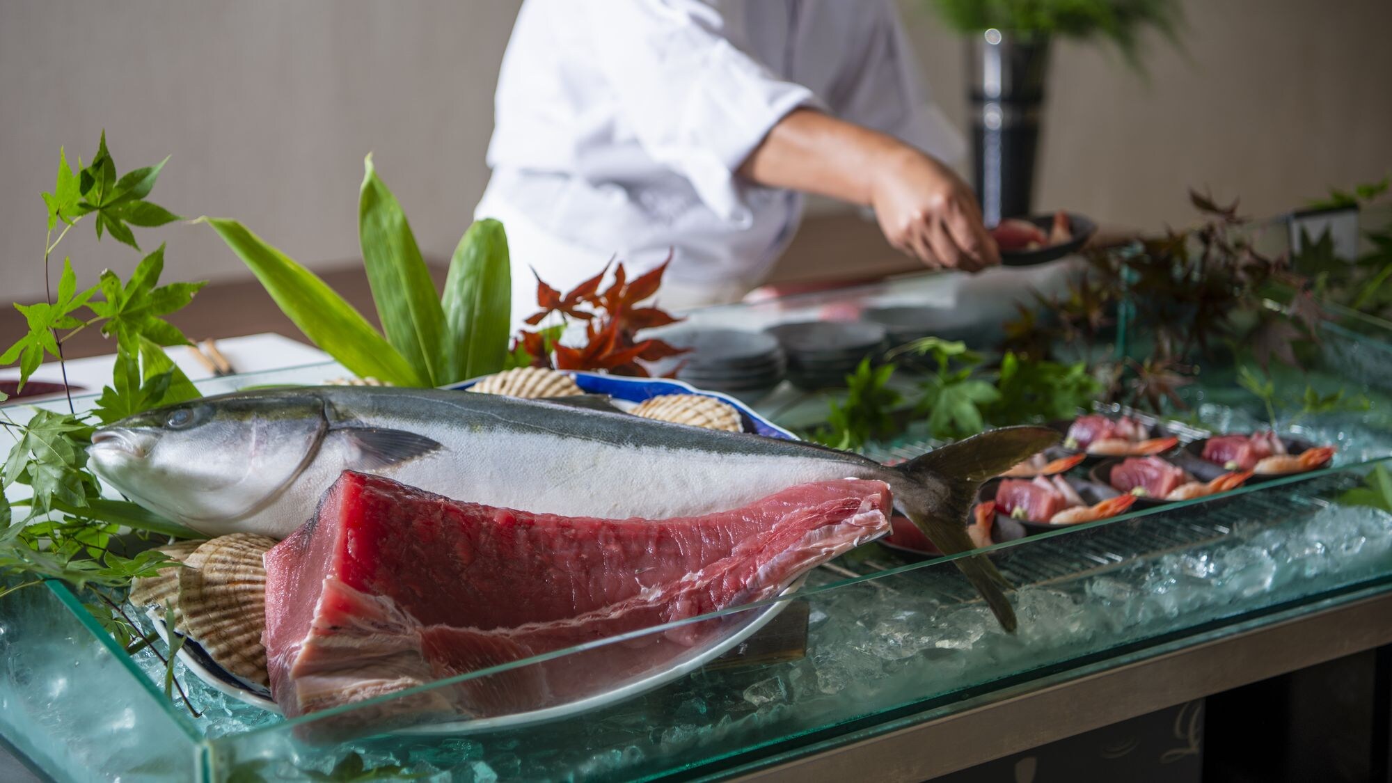 gambar sashimi