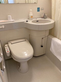 Shower toilet