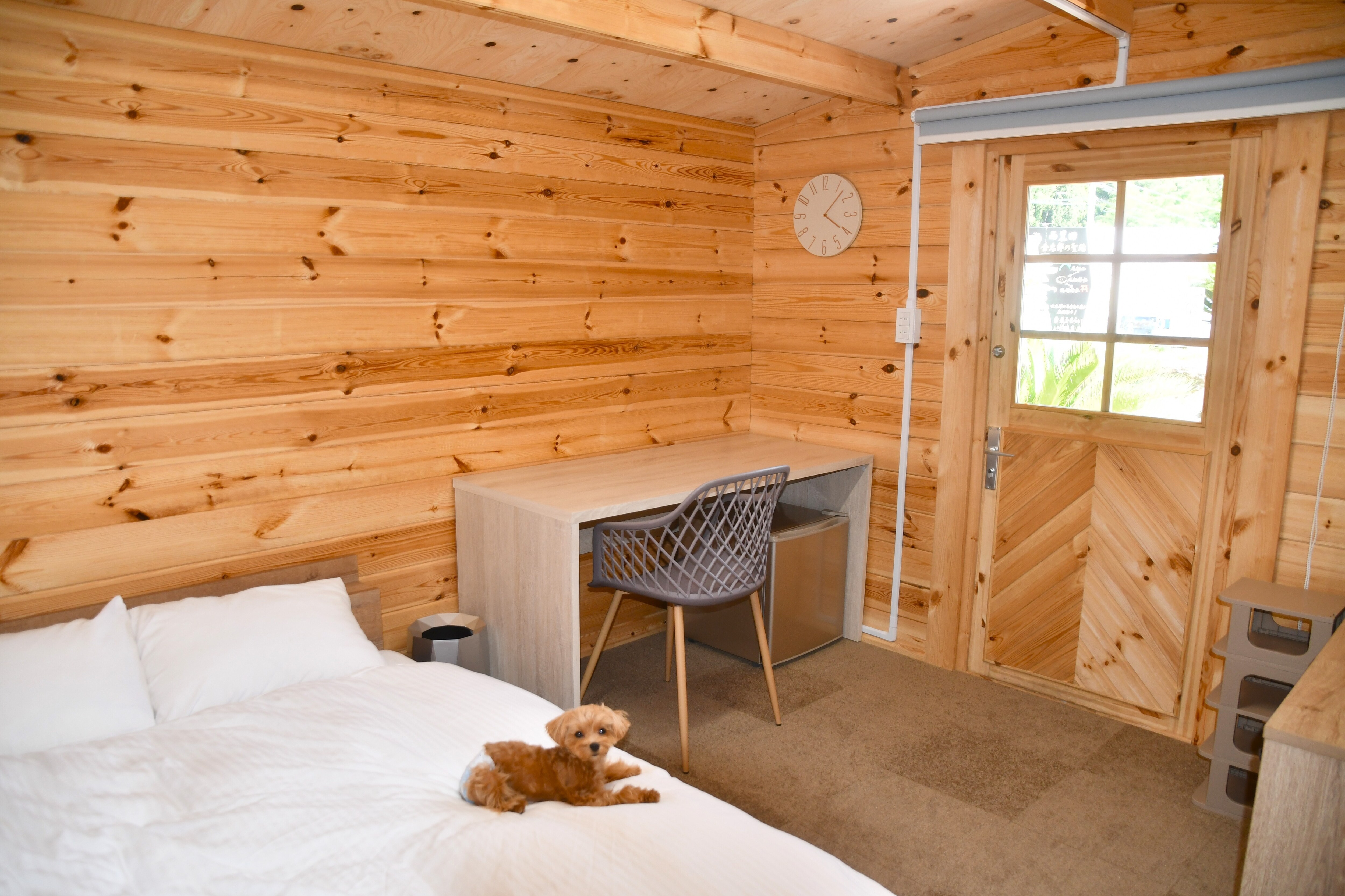 [Dog Cabin] Inside the room