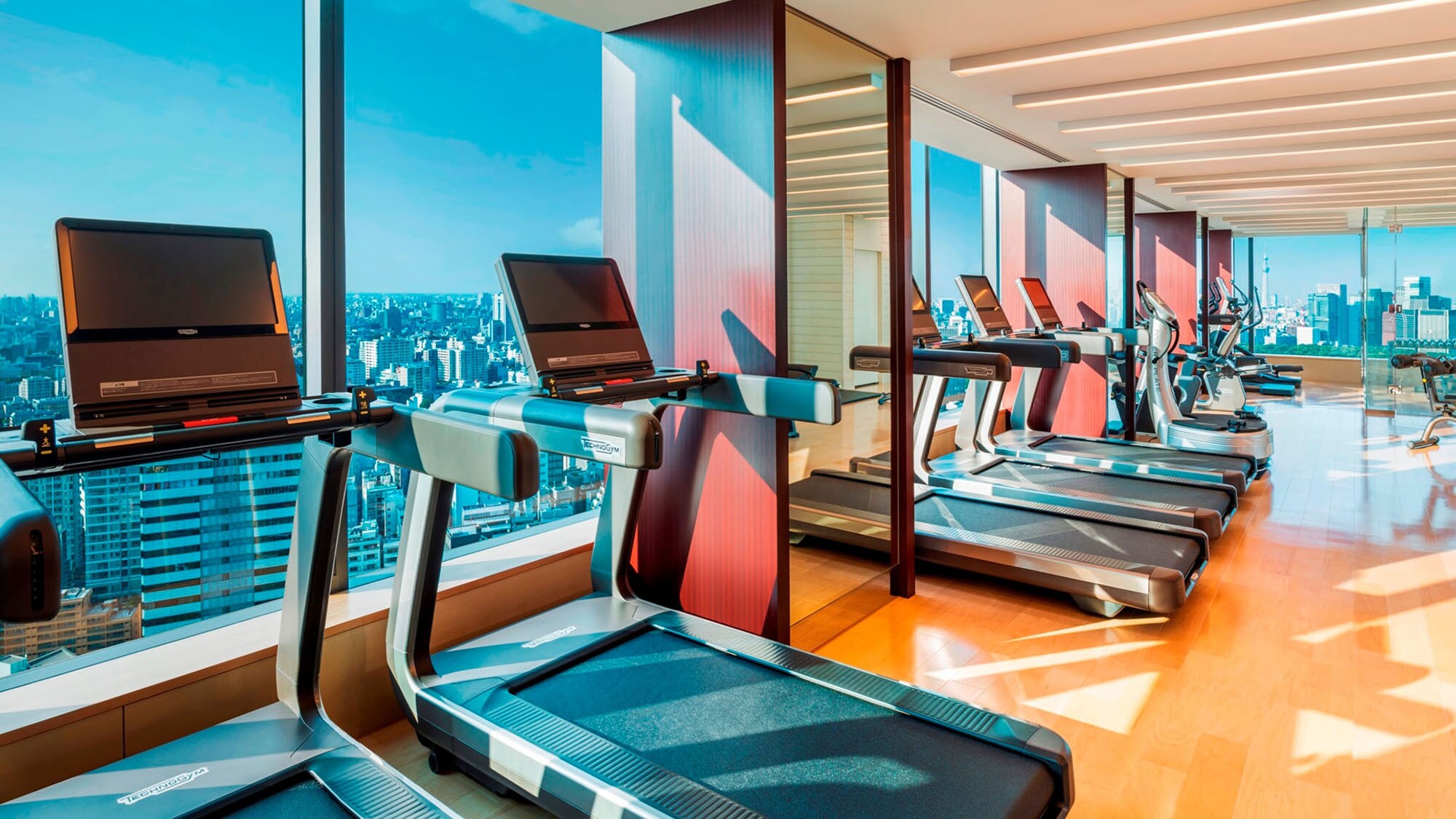 Fitness Gym
