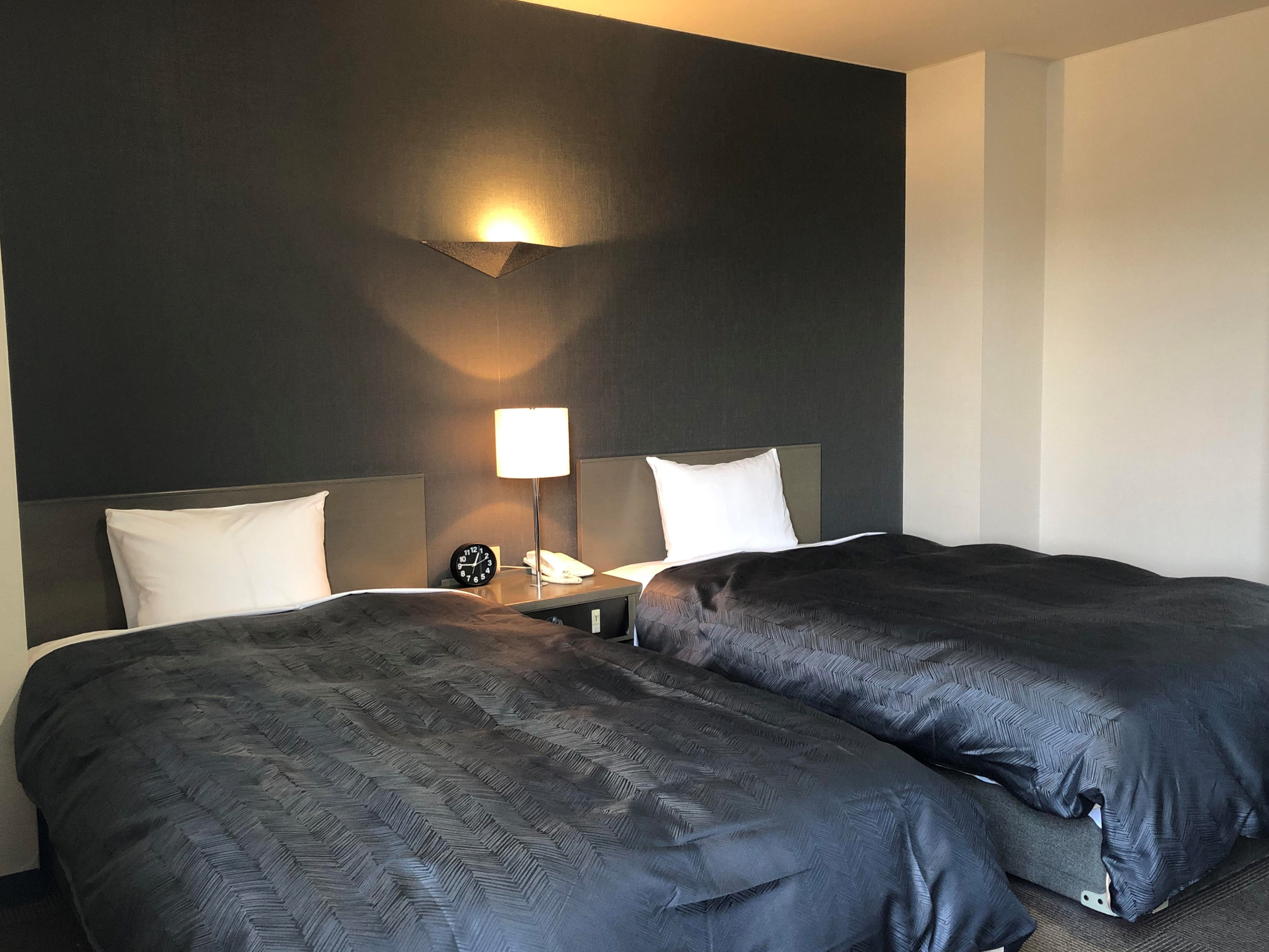 Twin room 17 square meters with 2 100 cm beds [wired LAN and WiFi connection free]