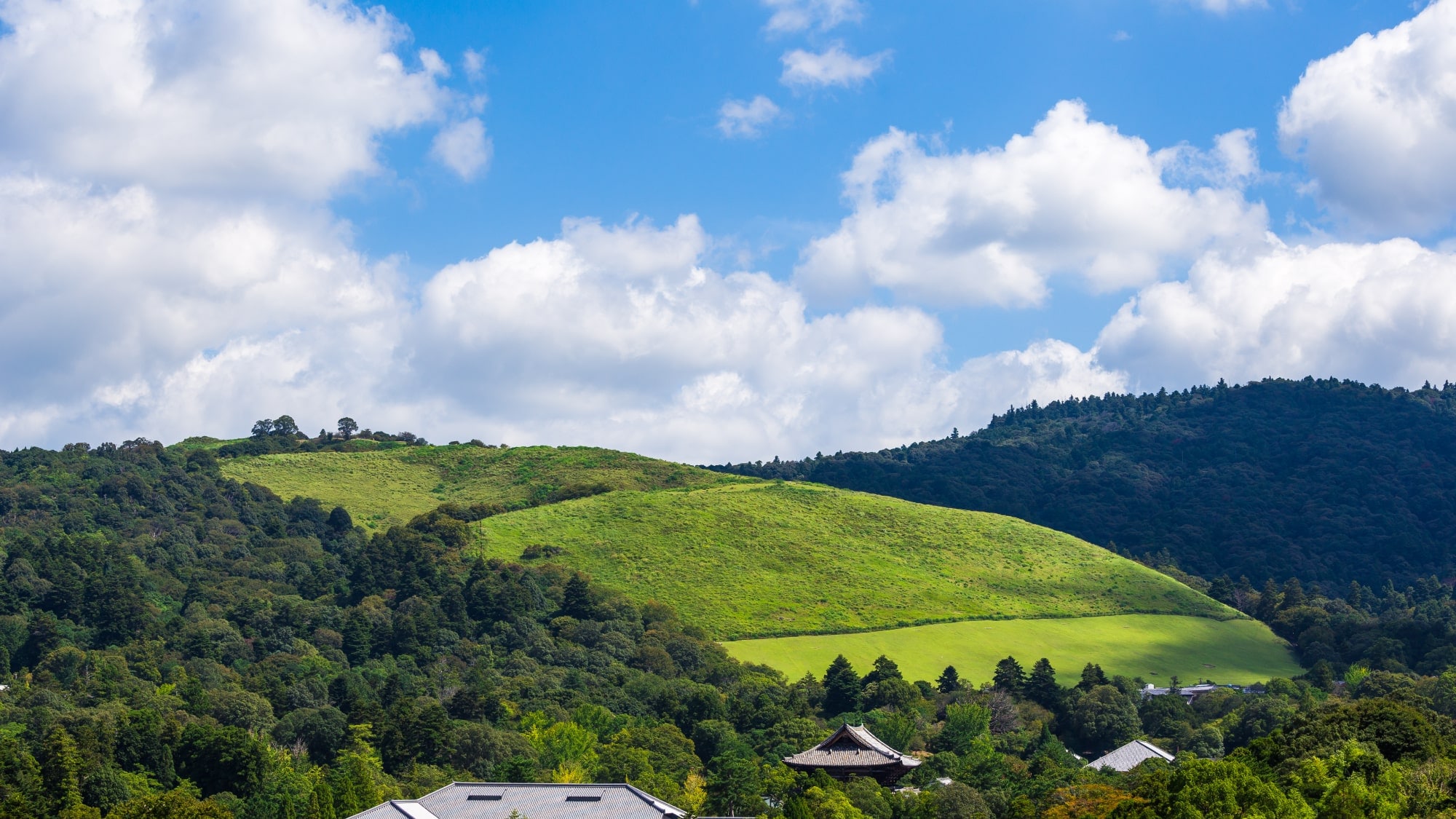 Mt. Wakakusa