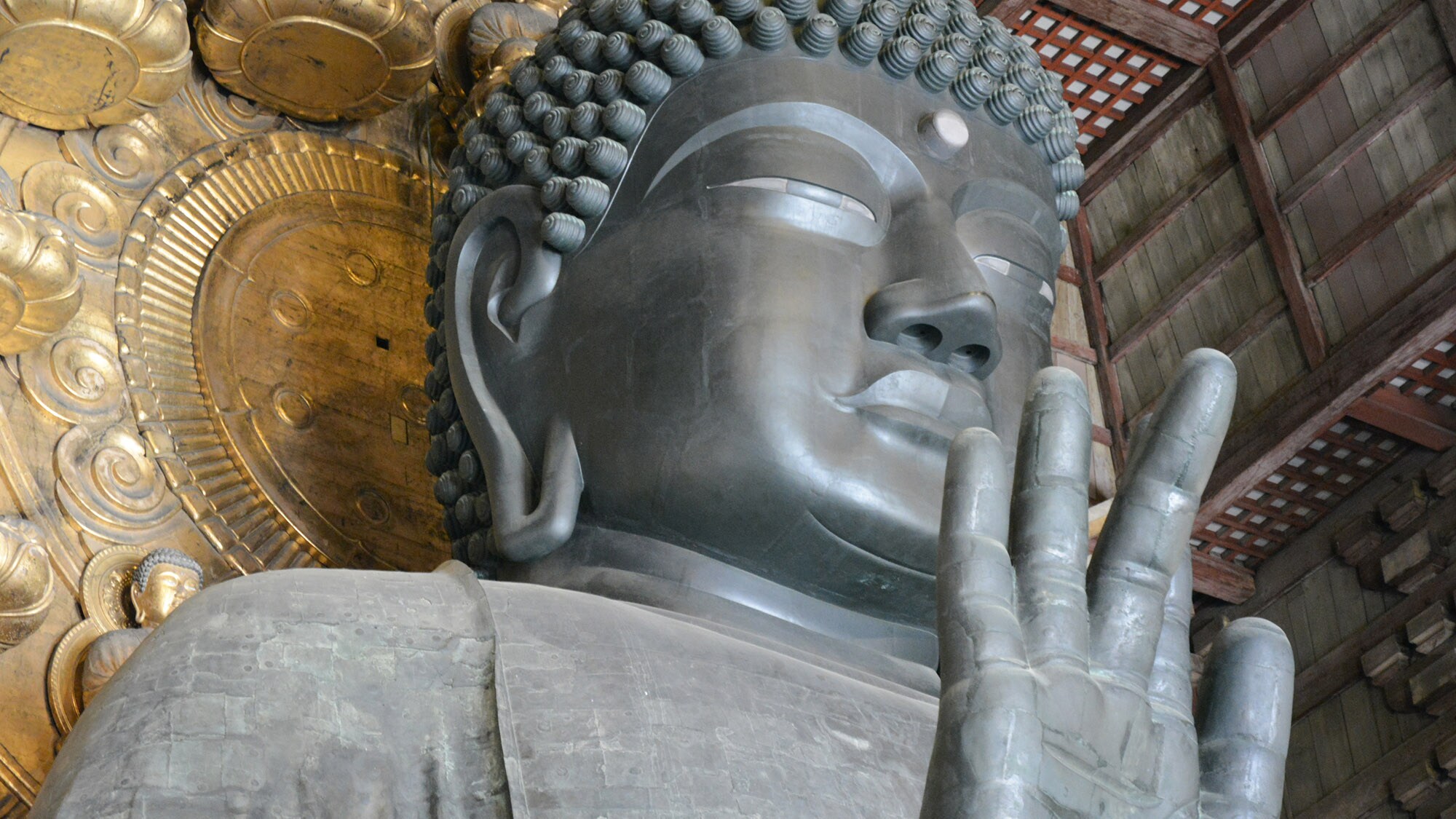・[Nearby] Todaiji Temple is overwhelmed by the size of the Great Buddha. The majestic appearance makes you feel solemn.