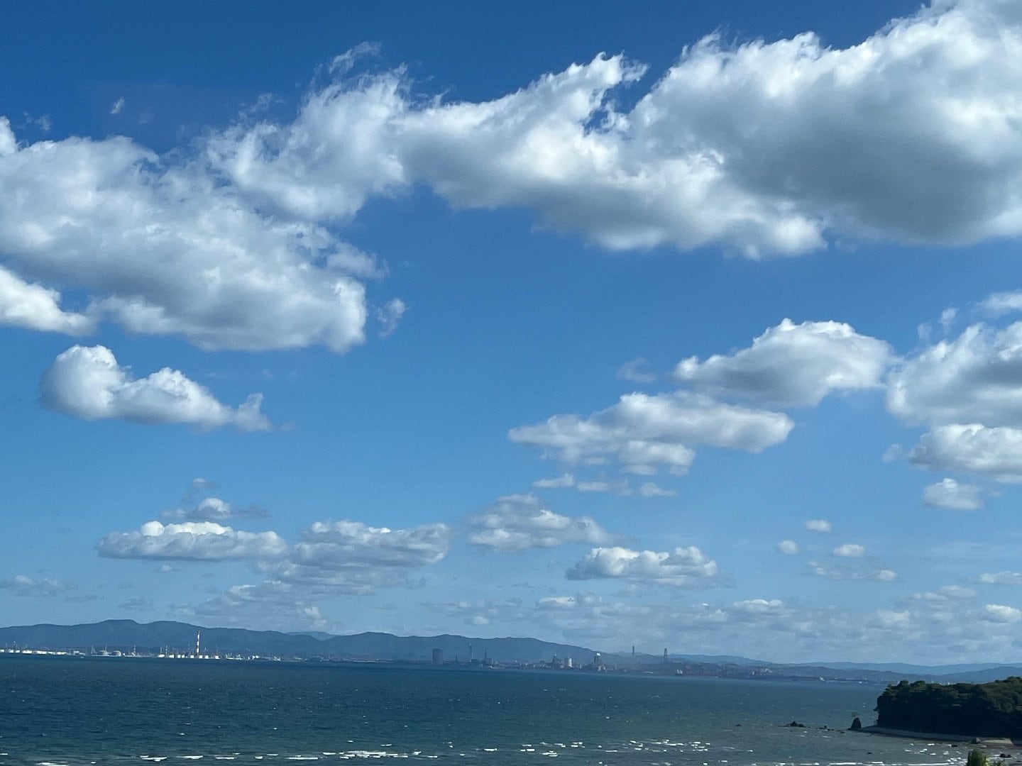 002AC134-563D-440A-AEDF-43160878E80D.jpeg