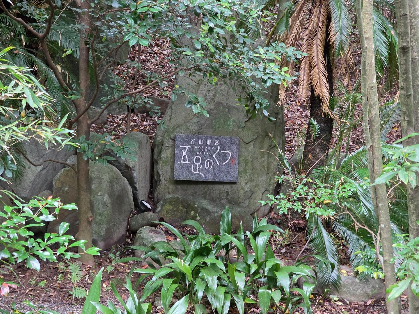 1000014950.jpg