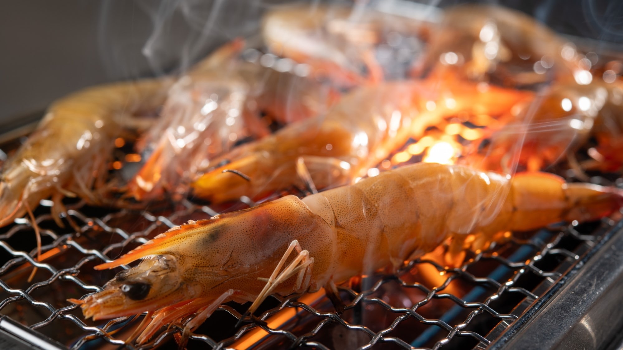 濱燒圖像（蝦）