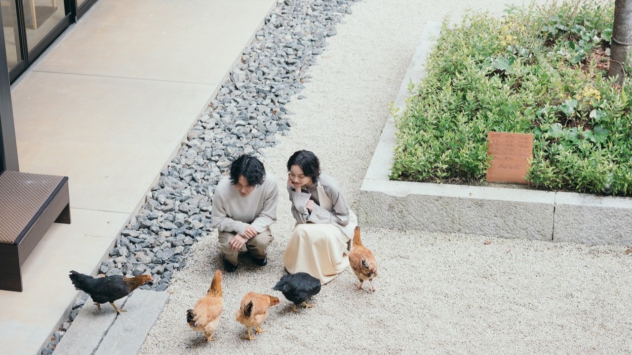 Friendly Yamato chicken
