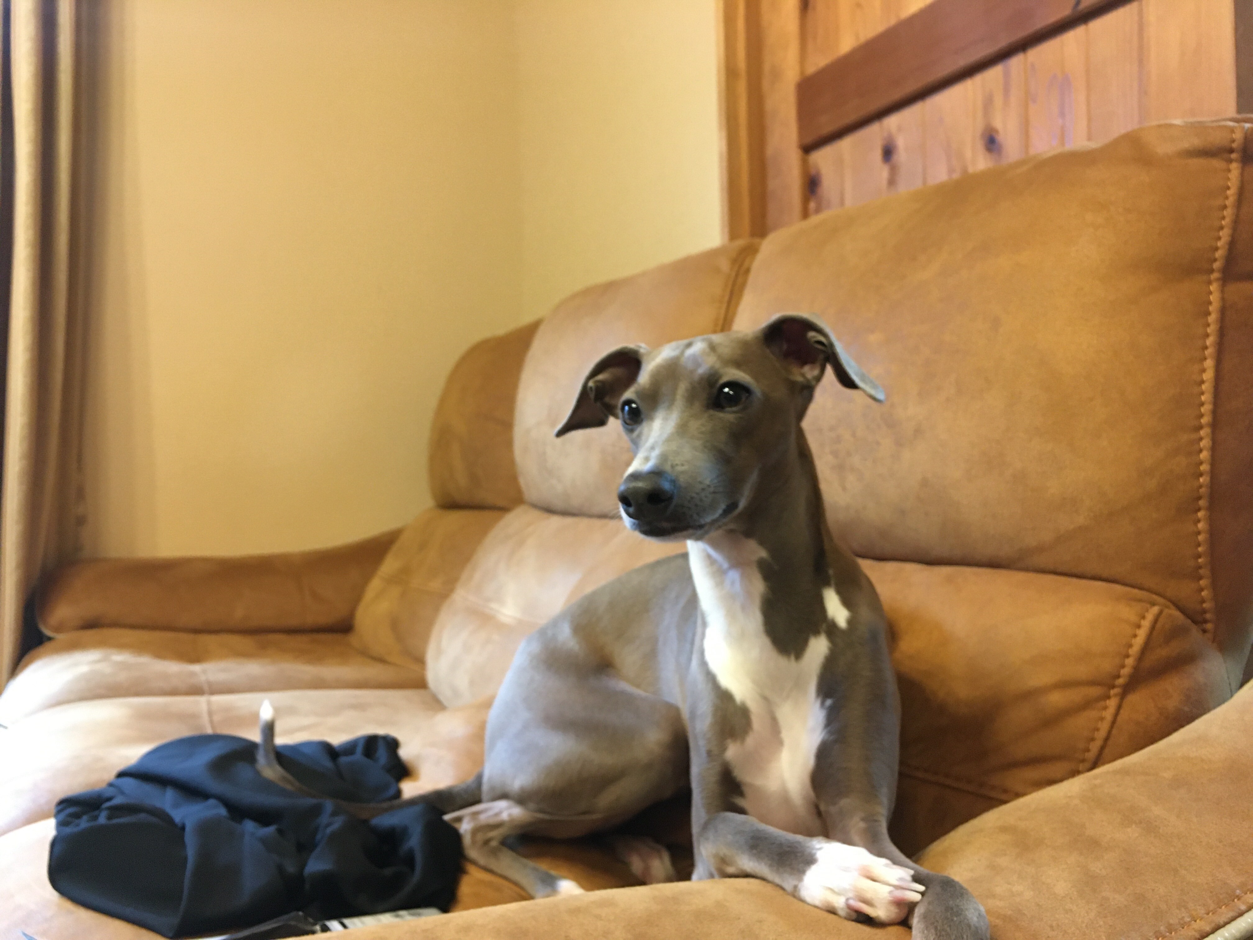 [Tôi ổn mà, phải không?]