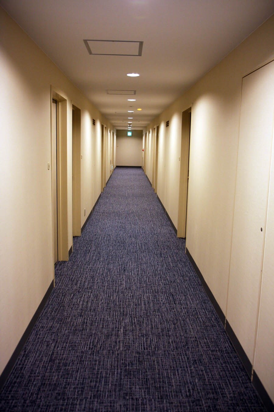 6樓走廊改造完成！新的地毯和壁紙！ （2020 年 4 月）