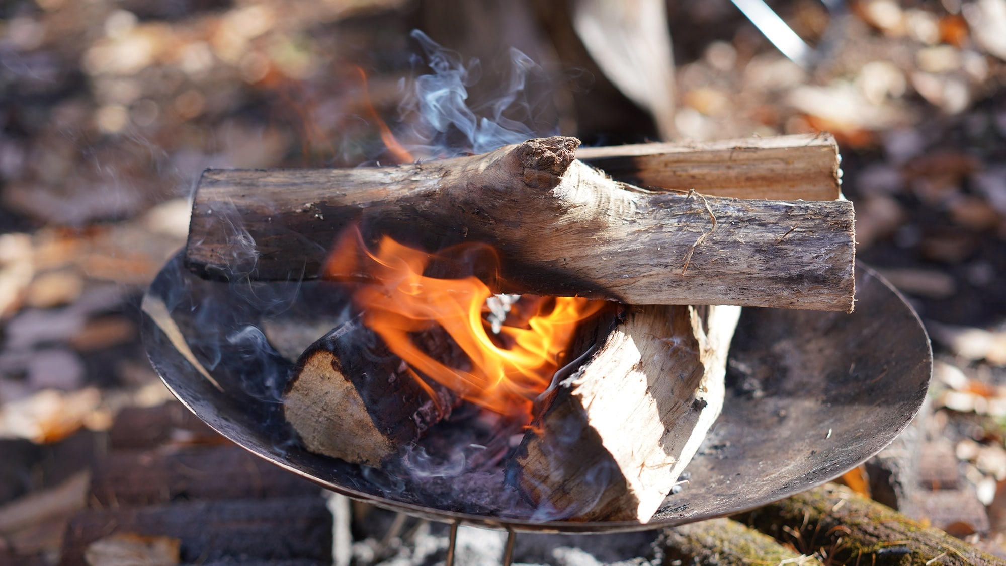 Bonfire①