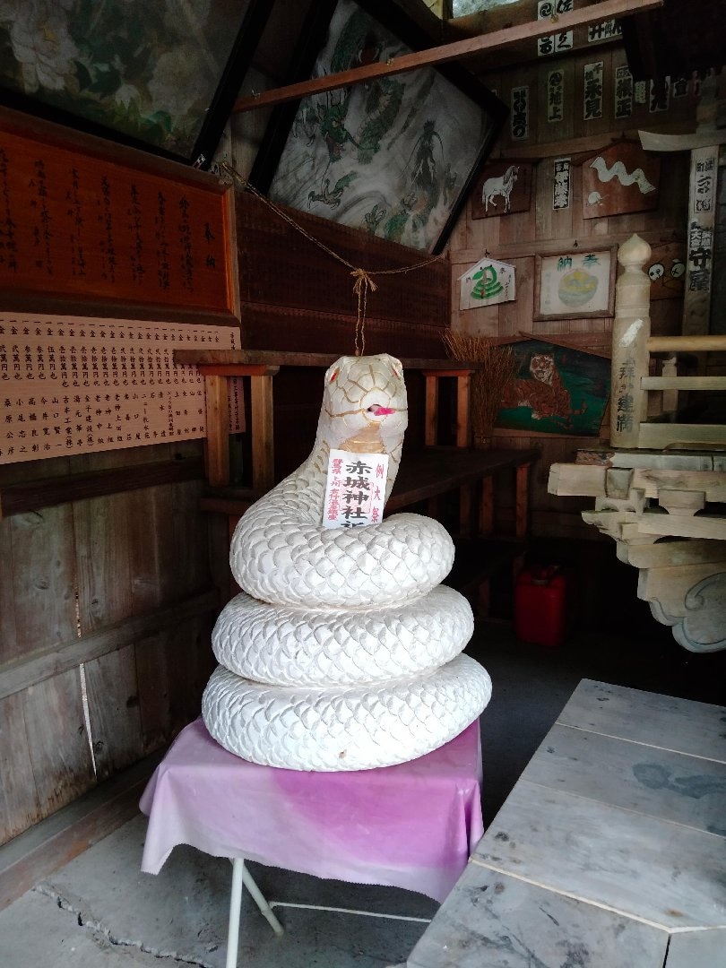 IMG20260601153207.jpg