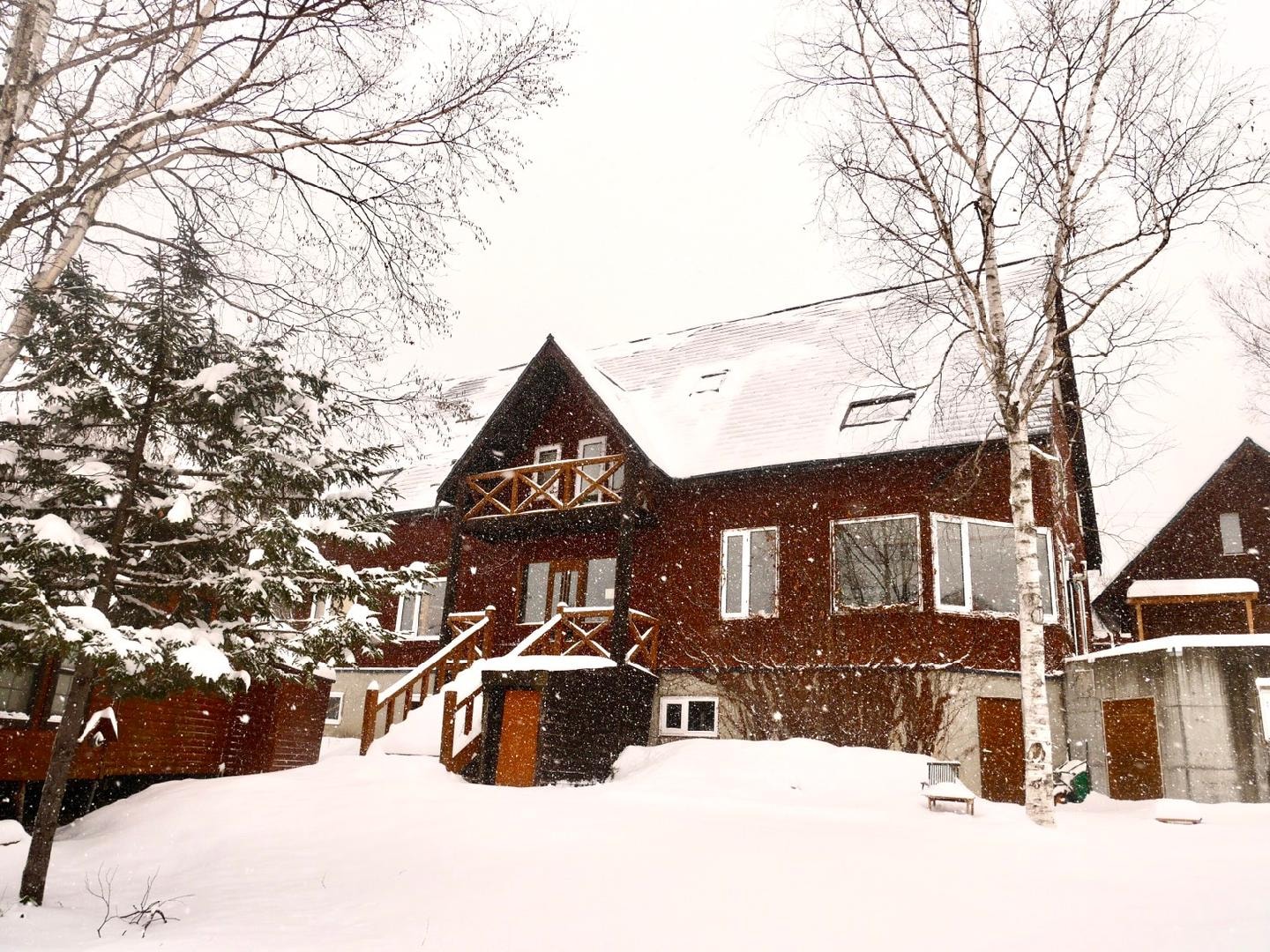 Winter Appearance