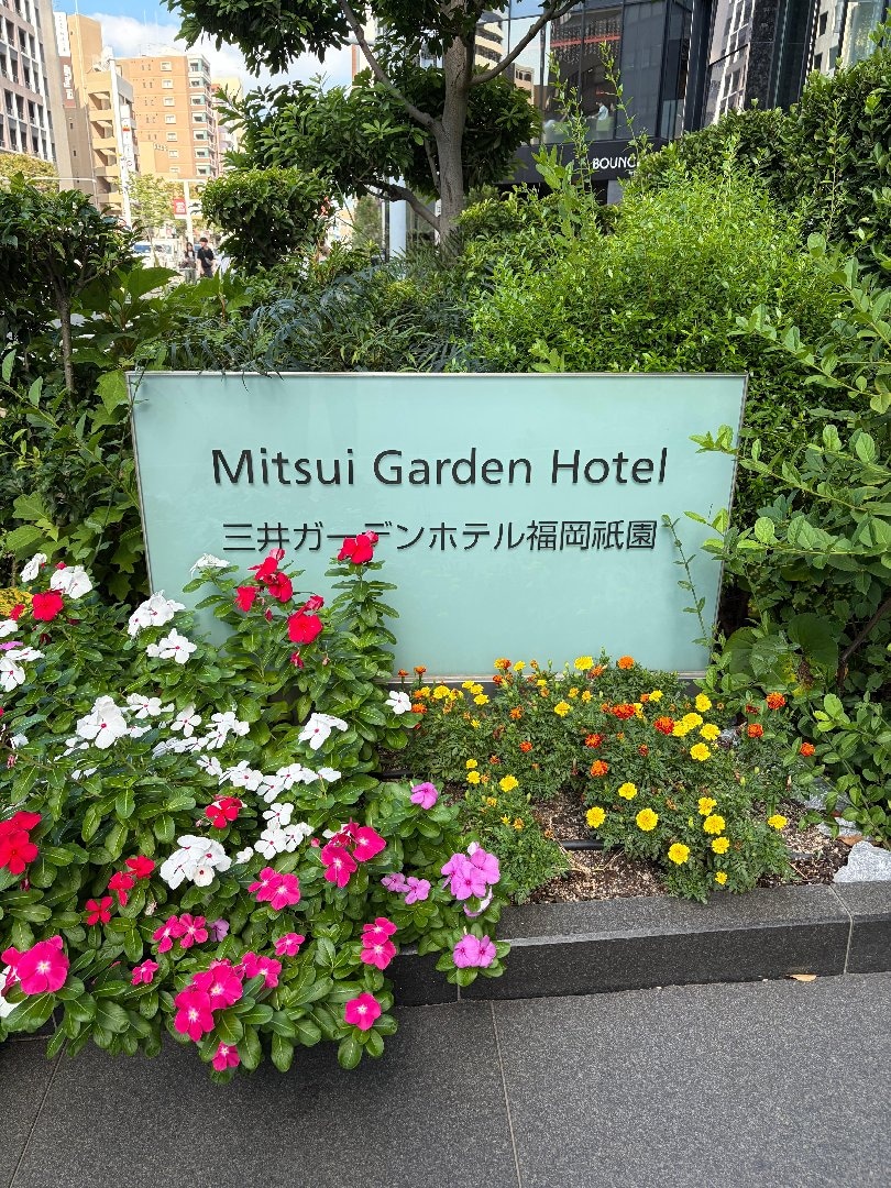 IMG_3173.jpeg