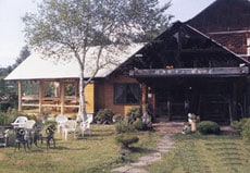 Appearance image
