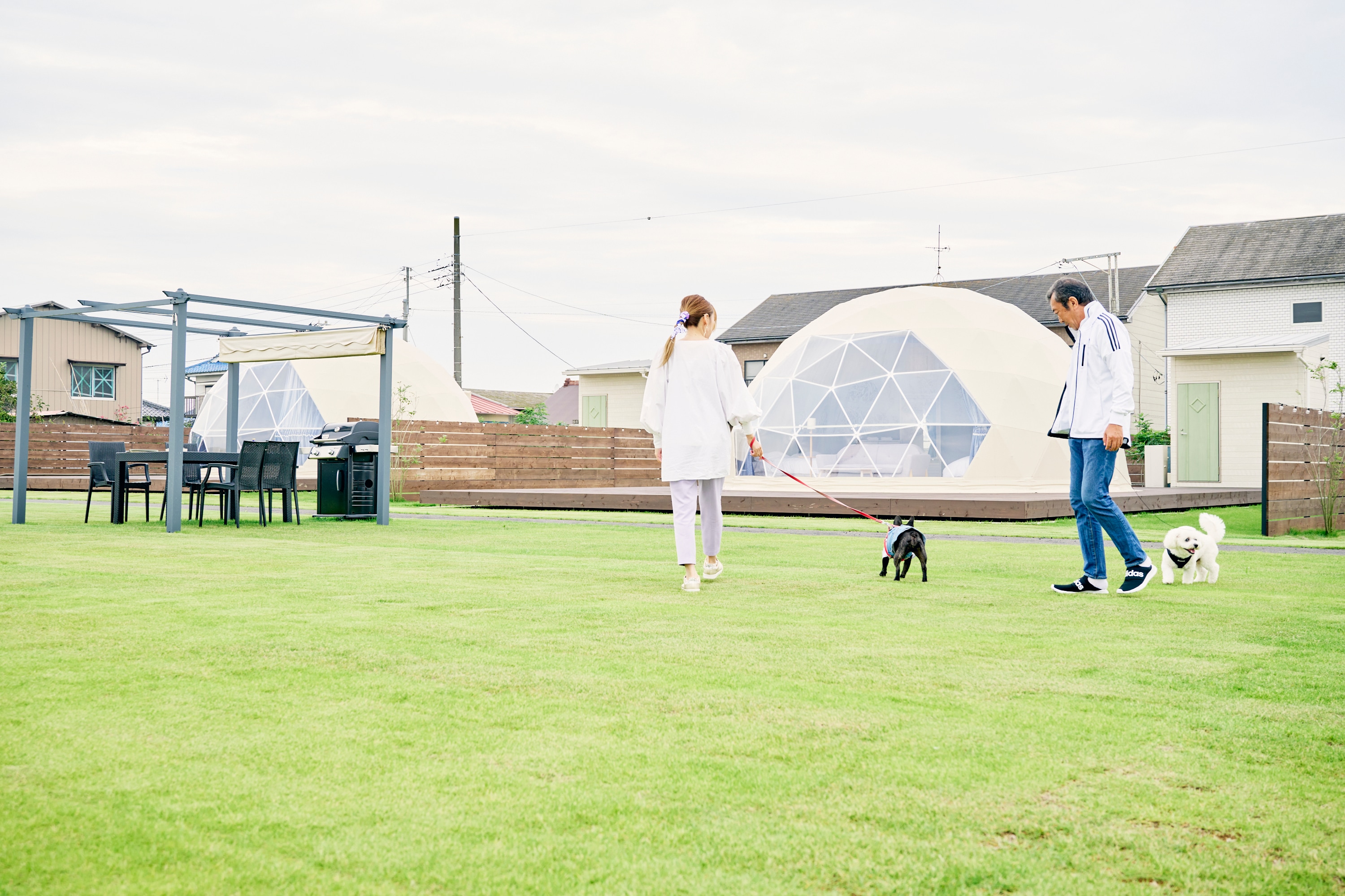 Dog run