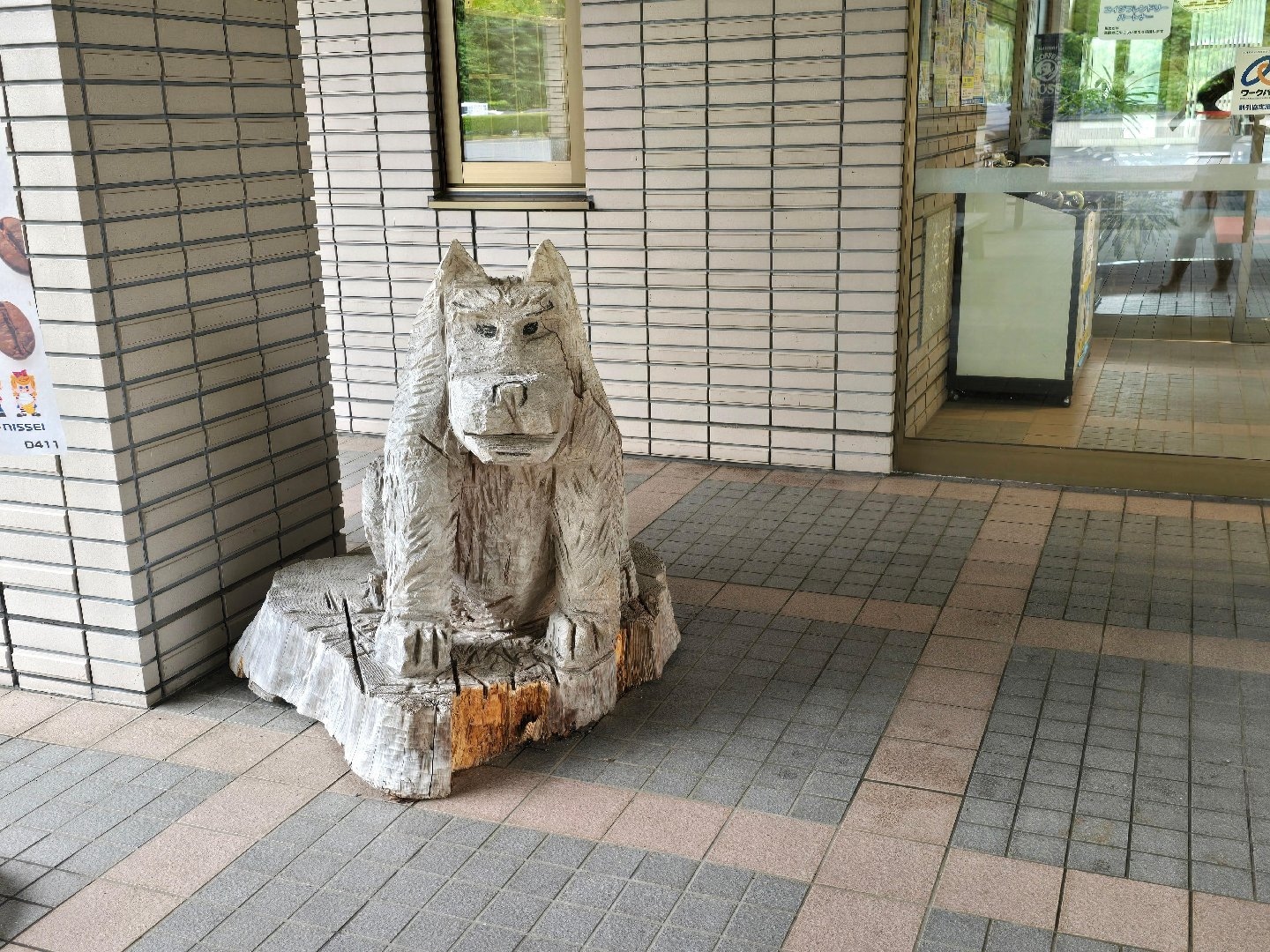 1000064851.jpg