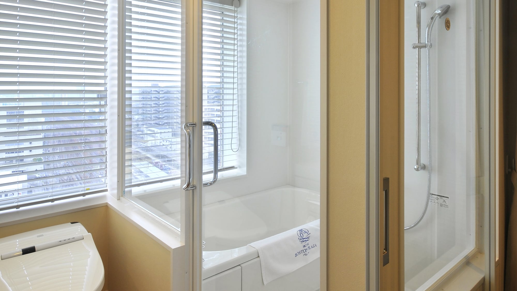 South Wing View Bath Type Bathroom