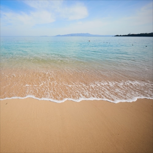 Rikulas 在你面前的海滩上伴随着海浪的声音。