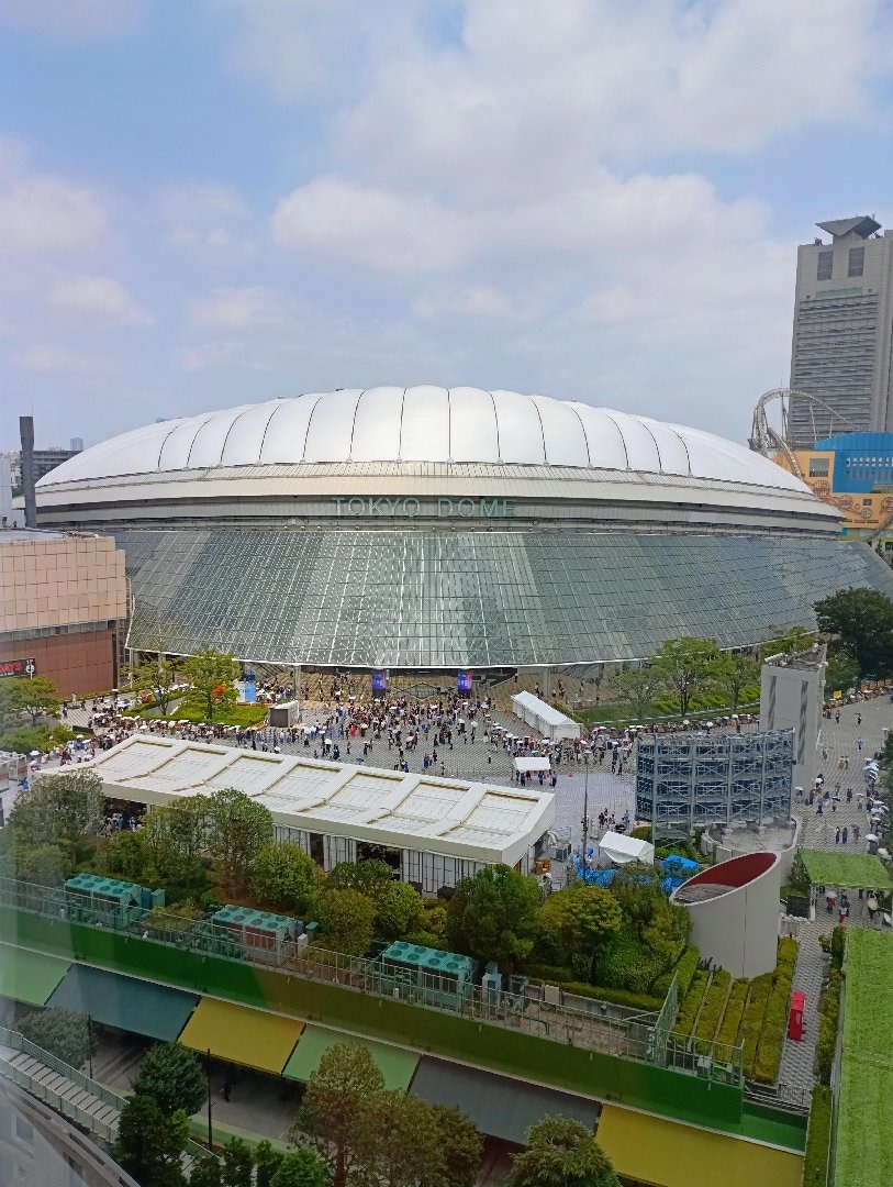 11641.jpg