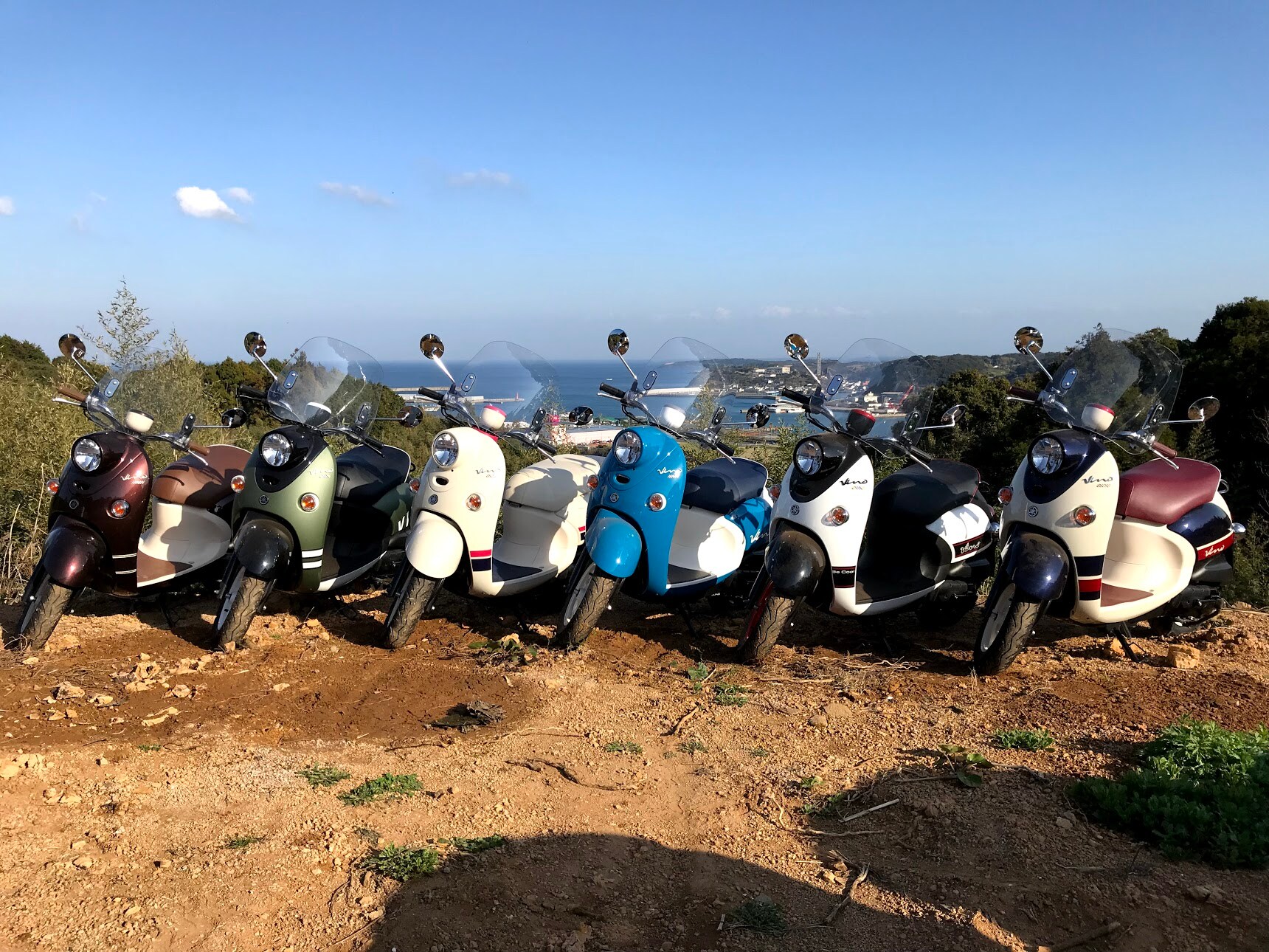 Rental scooter