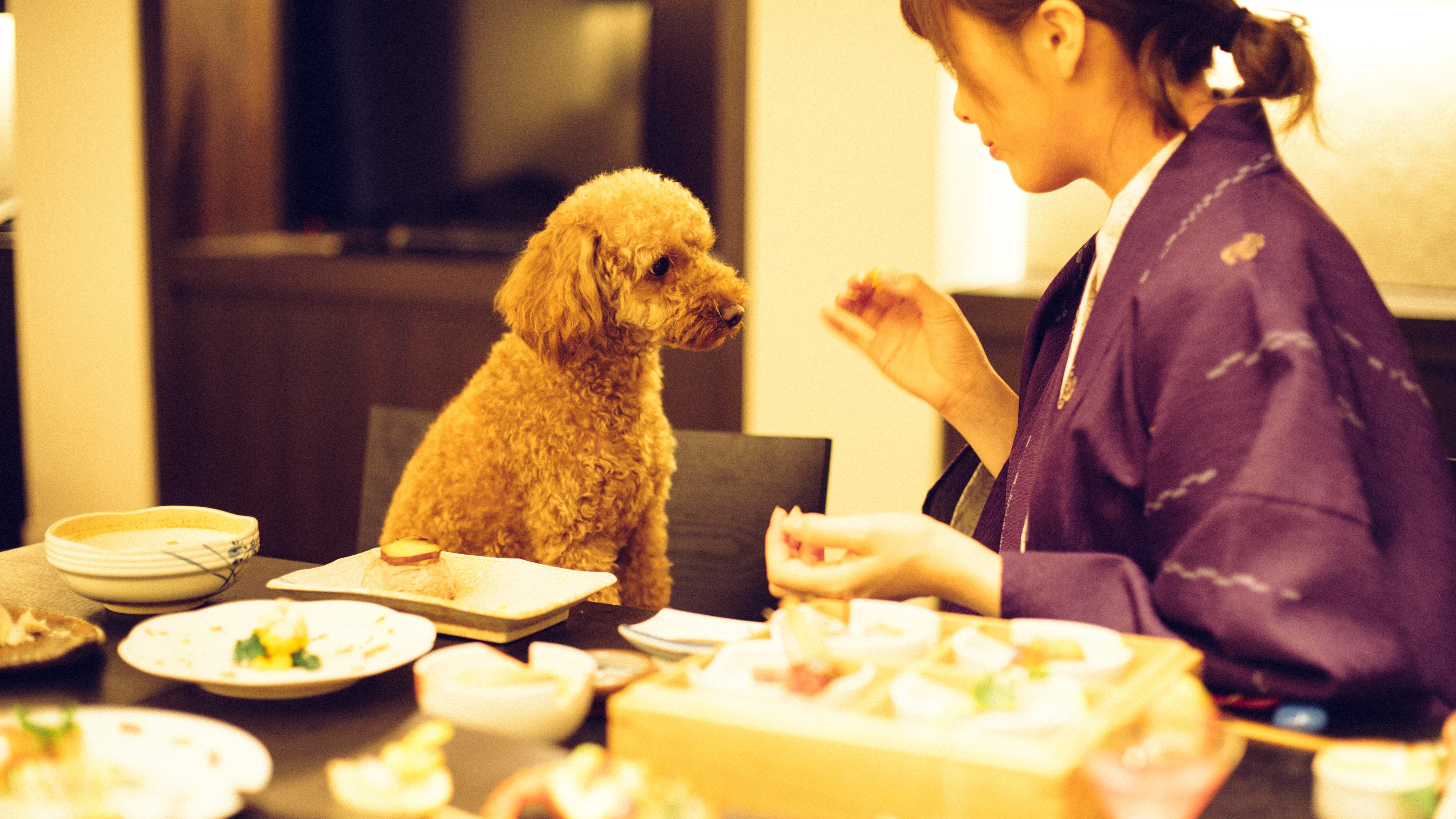 ★客房內用餐圖片