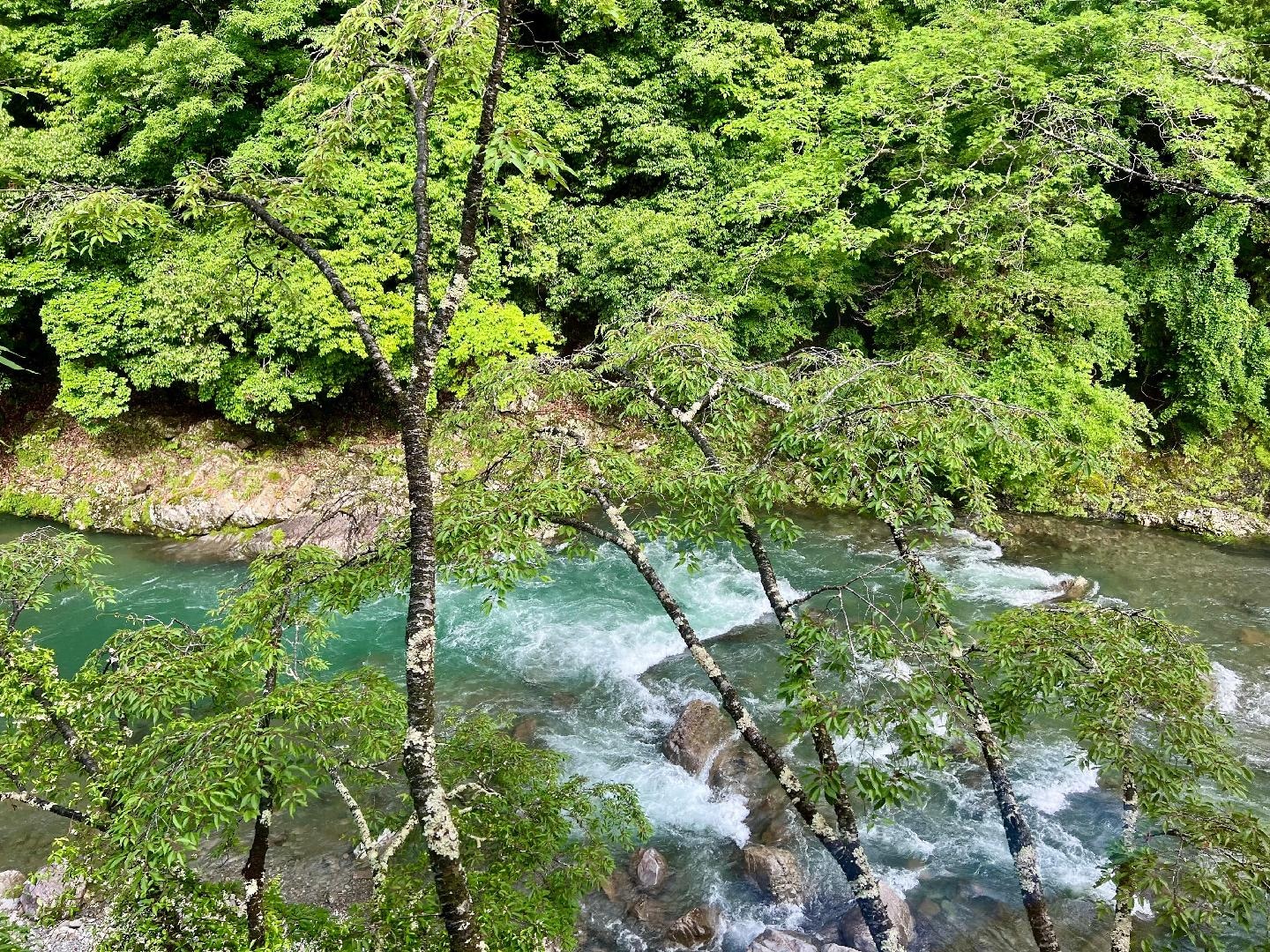 D3250699-9FE7-4D67-B863-42738921F427.jpeg