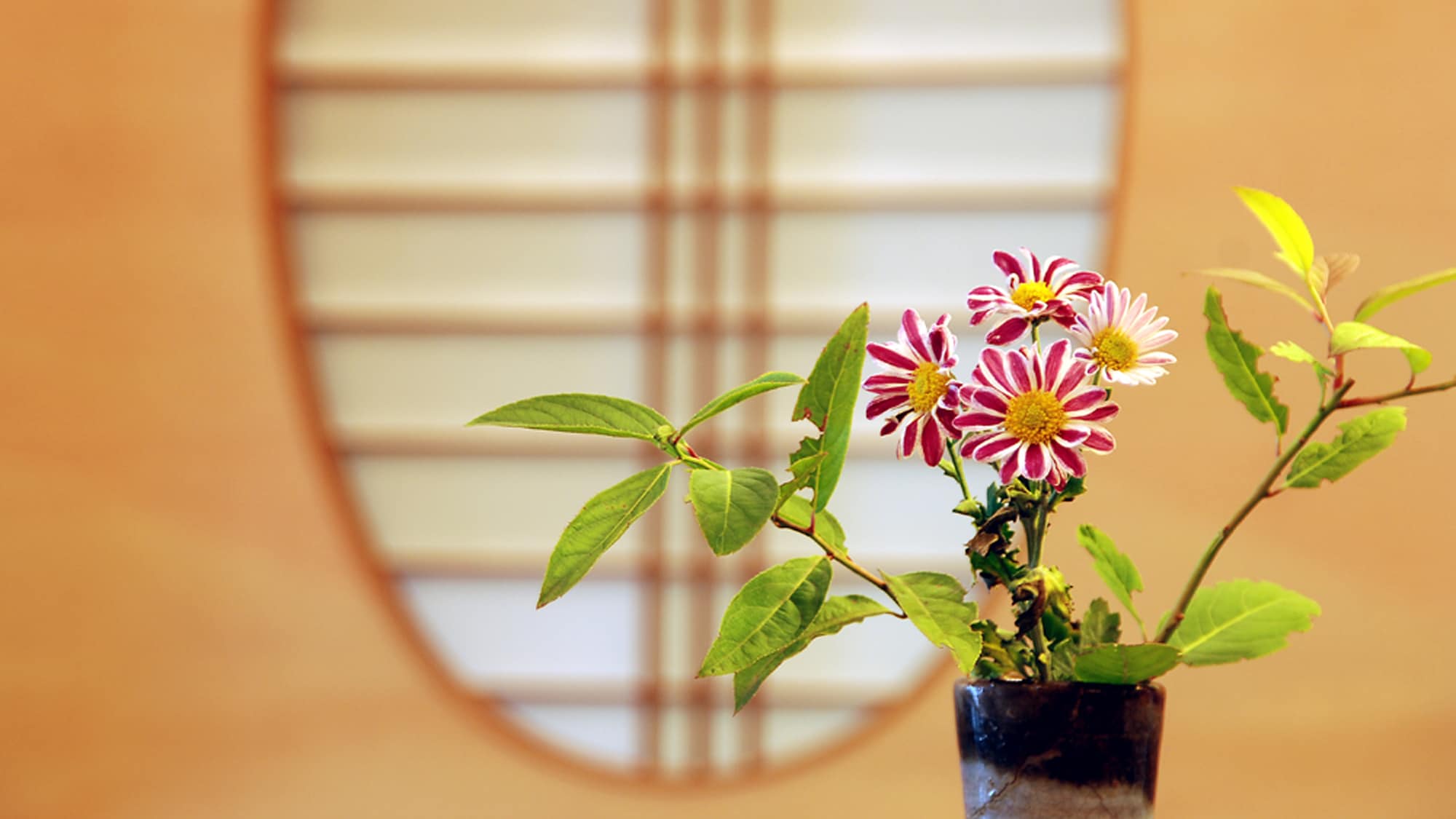 Ikebana of the landlady is everywhere in the hall. It will relieve your heart.