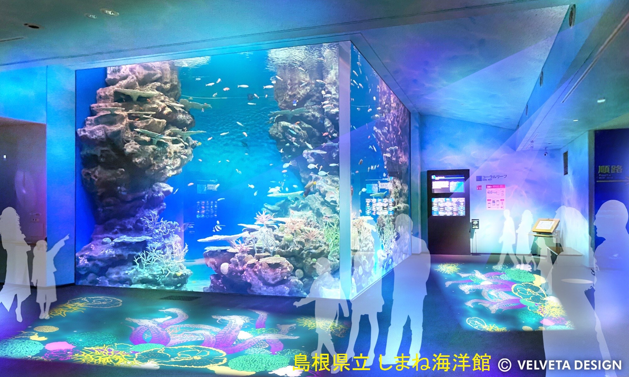 Terumbu Karang Aquas