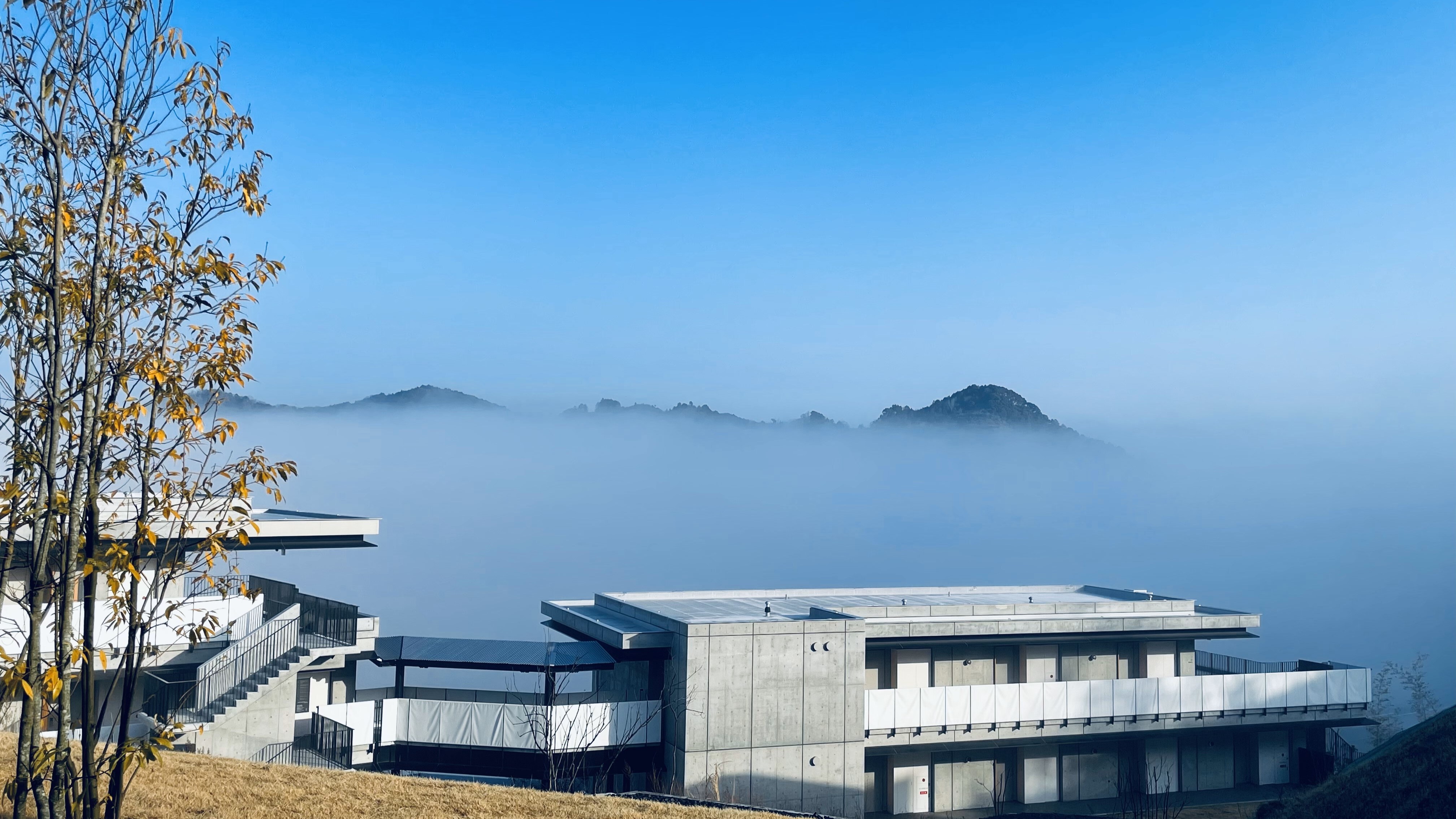 sea of clouds