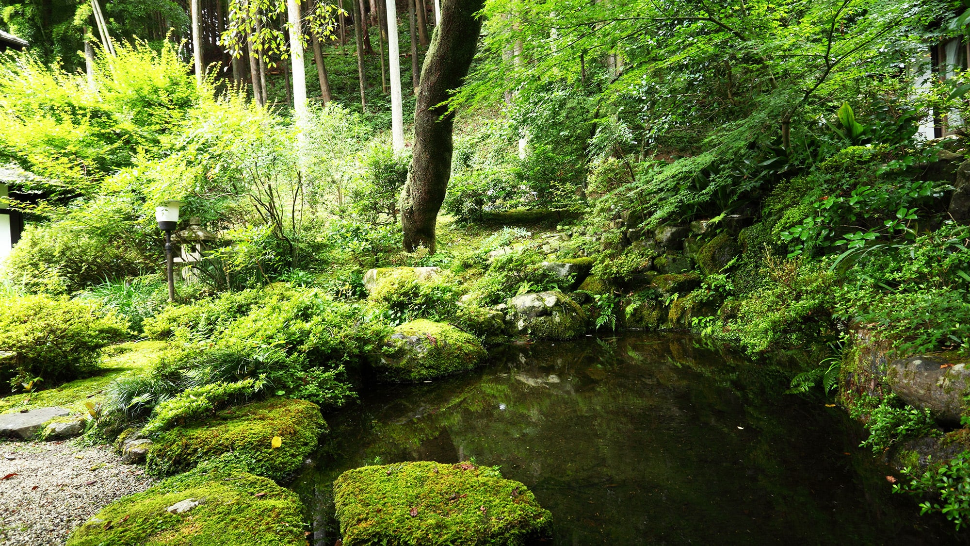 * [Courtyard] A garden where you can feel the simple beauty and kindness of the mountains of Ohara.