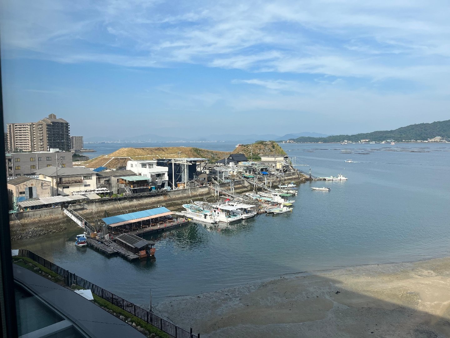 IMG_4306.jpeg