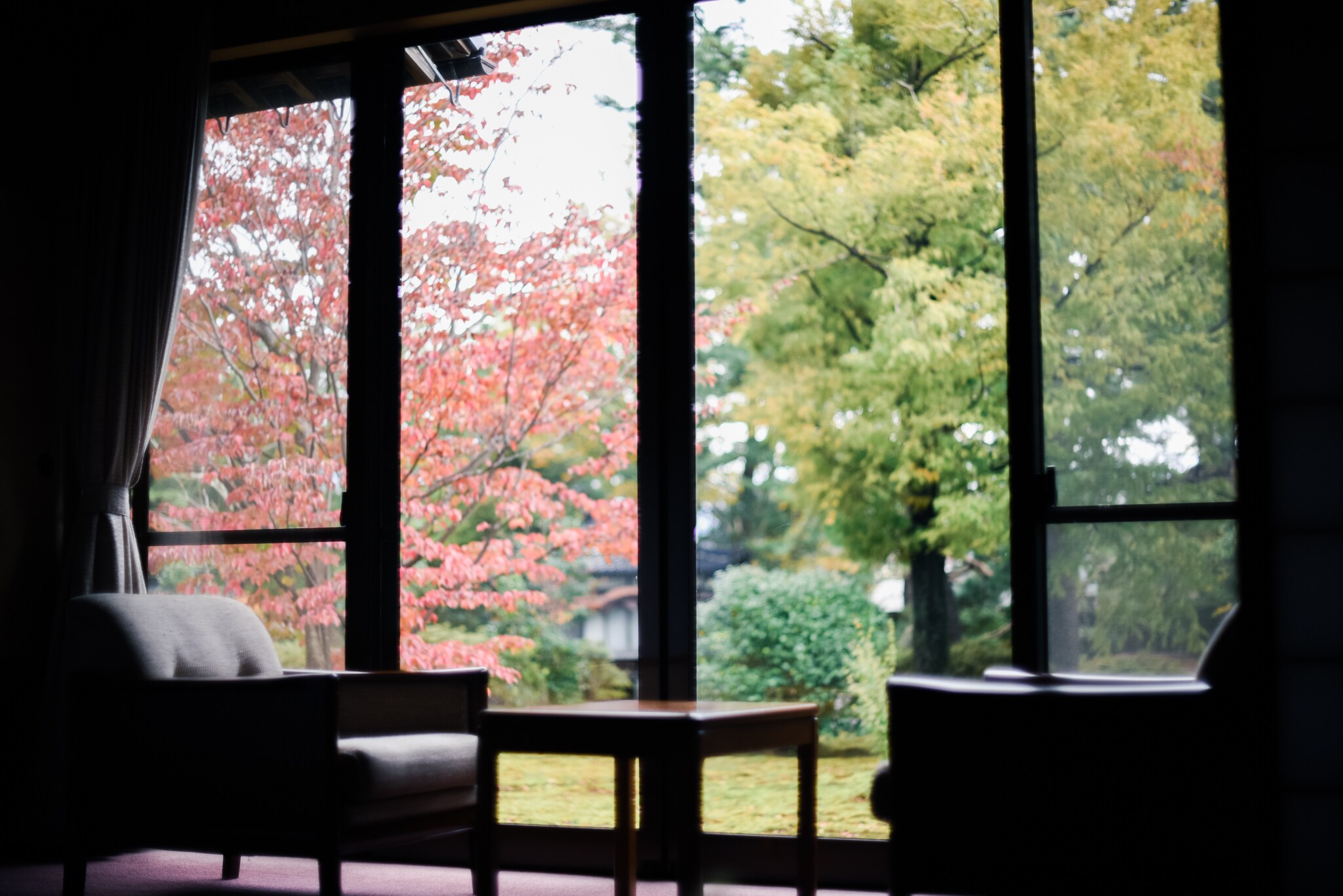從房間看到的花園景色